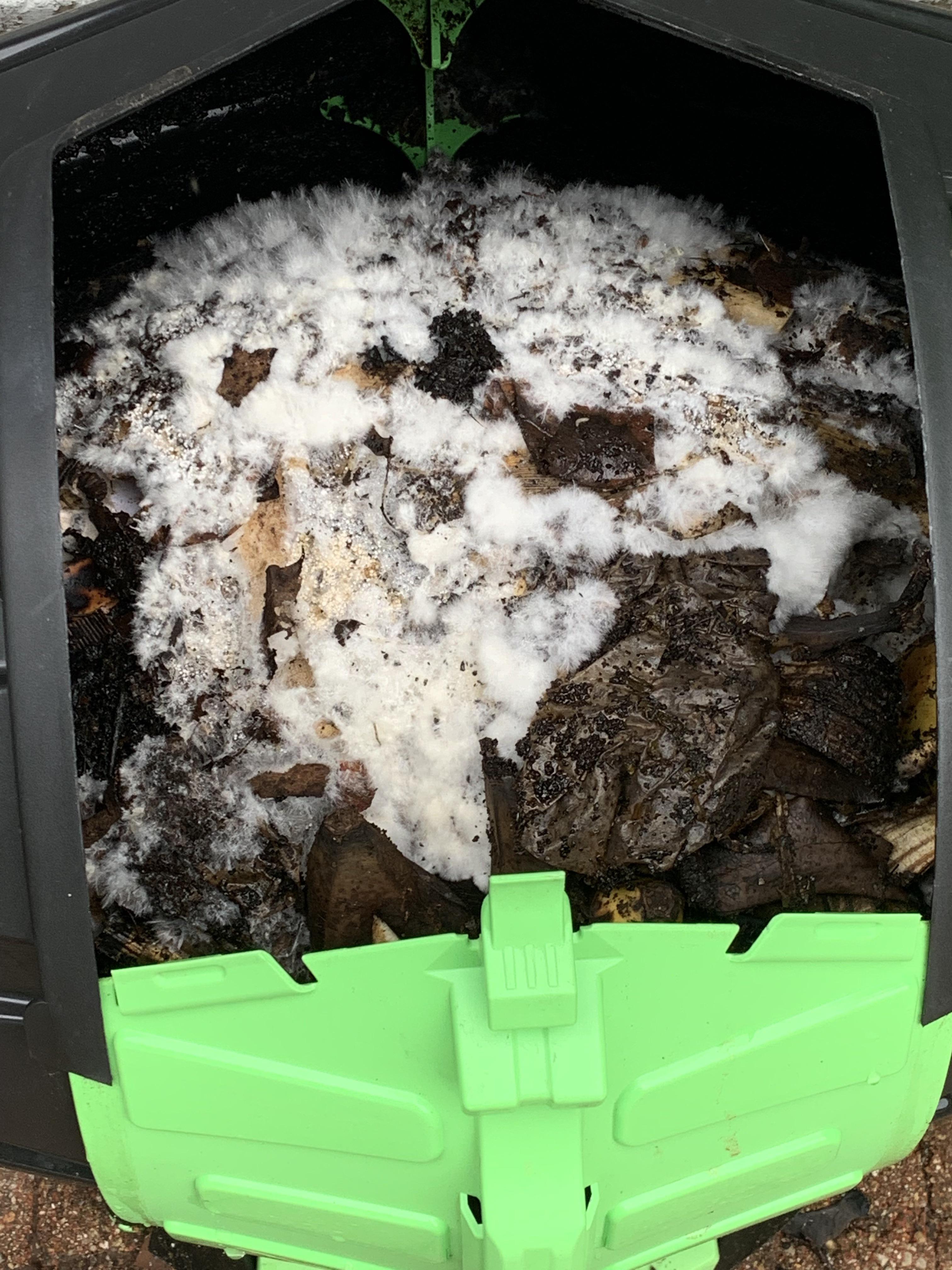 Is my compost supposed to look like this?