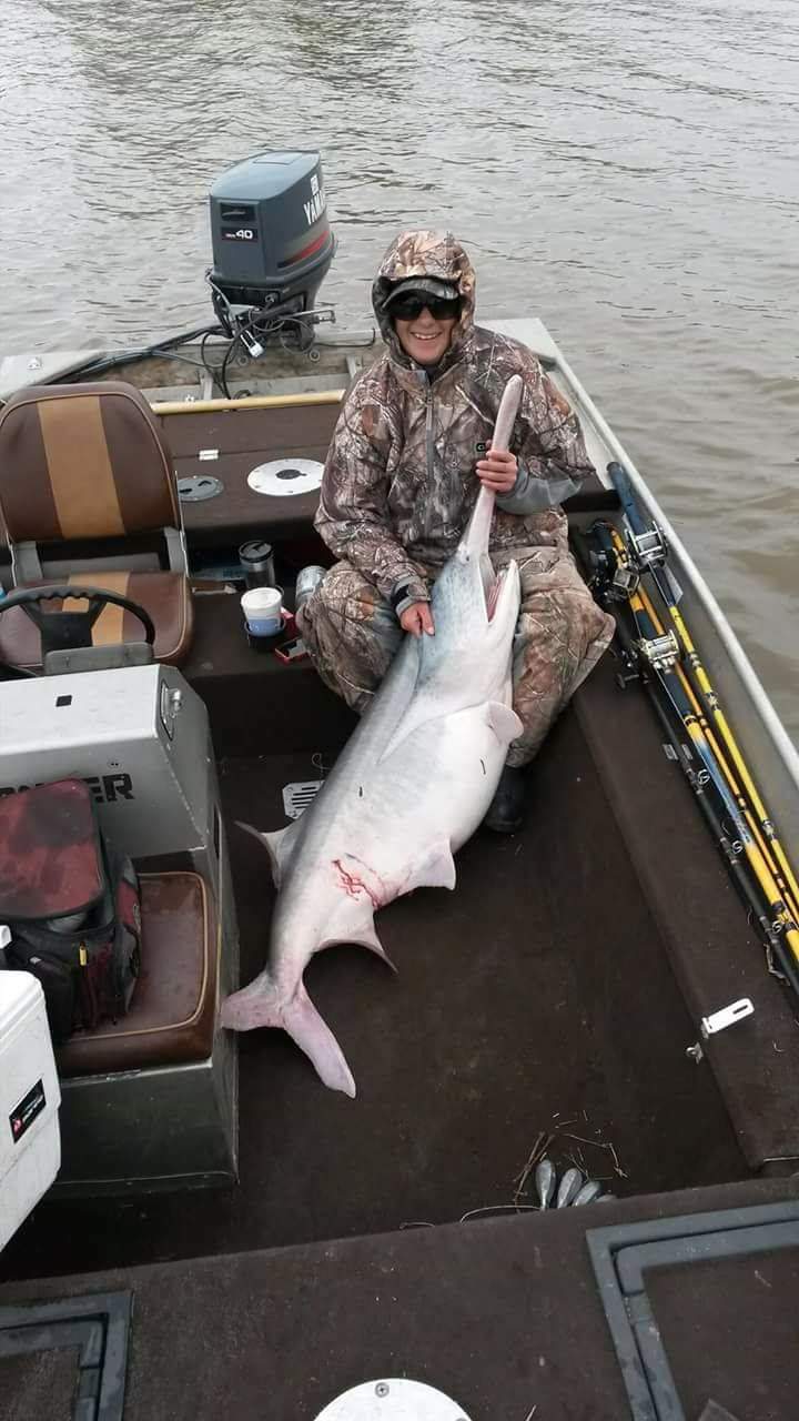 My girl wrangled this beauty,Missouri Spoonbill r/Fishing