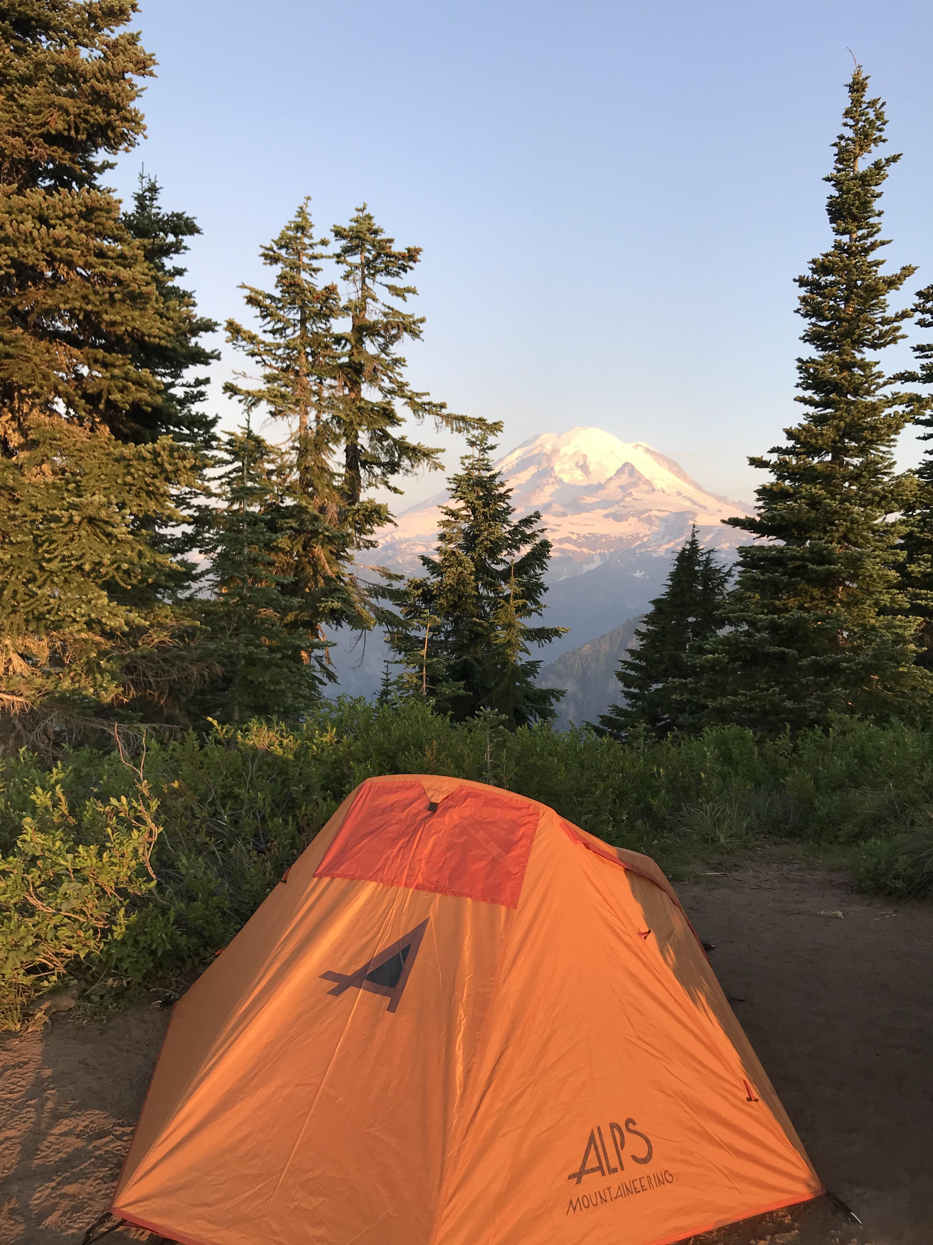 √ Mt Rainier Np Camping Alumn Photograph