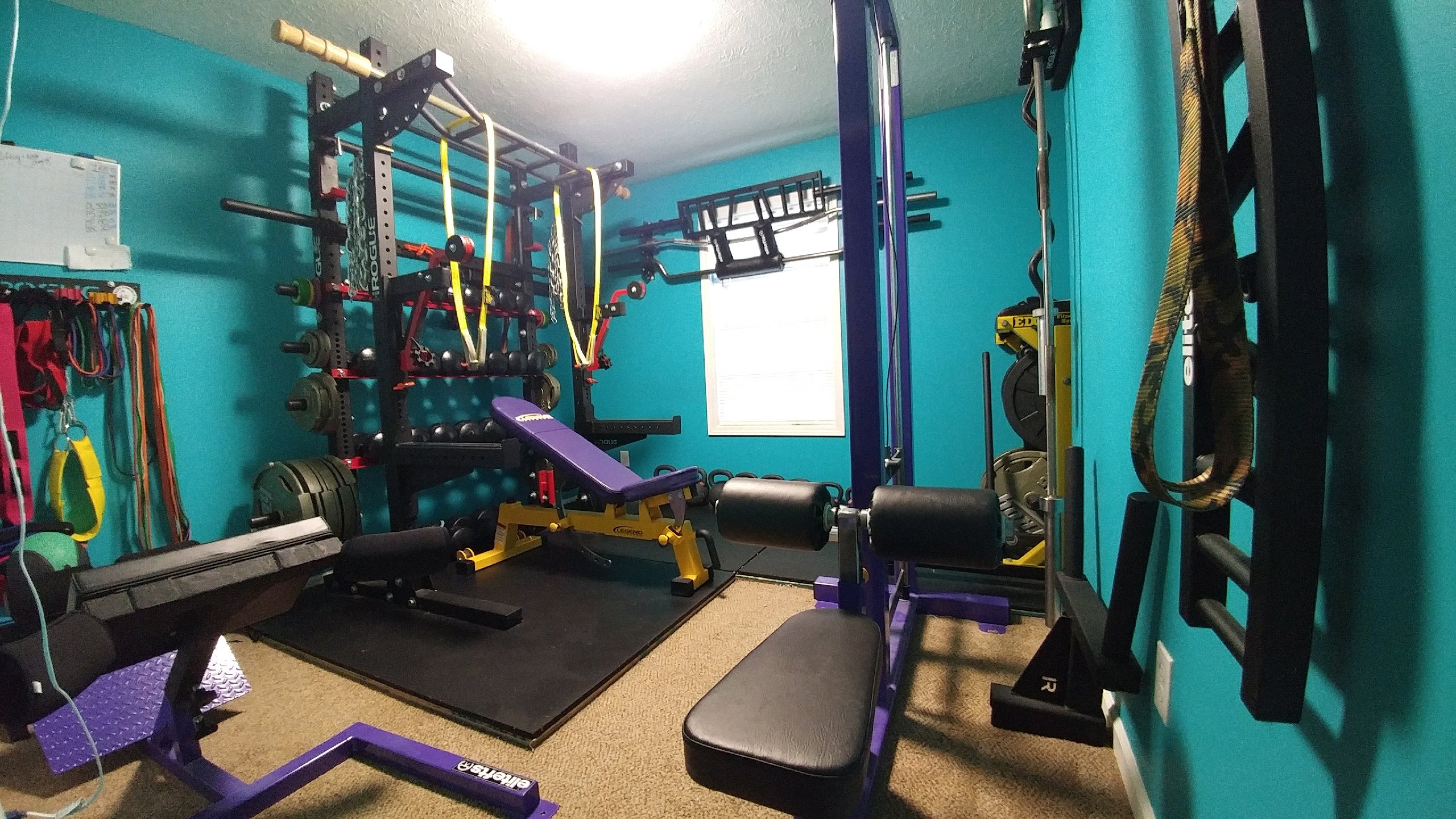 Some updated pics of my gym! r/homegym