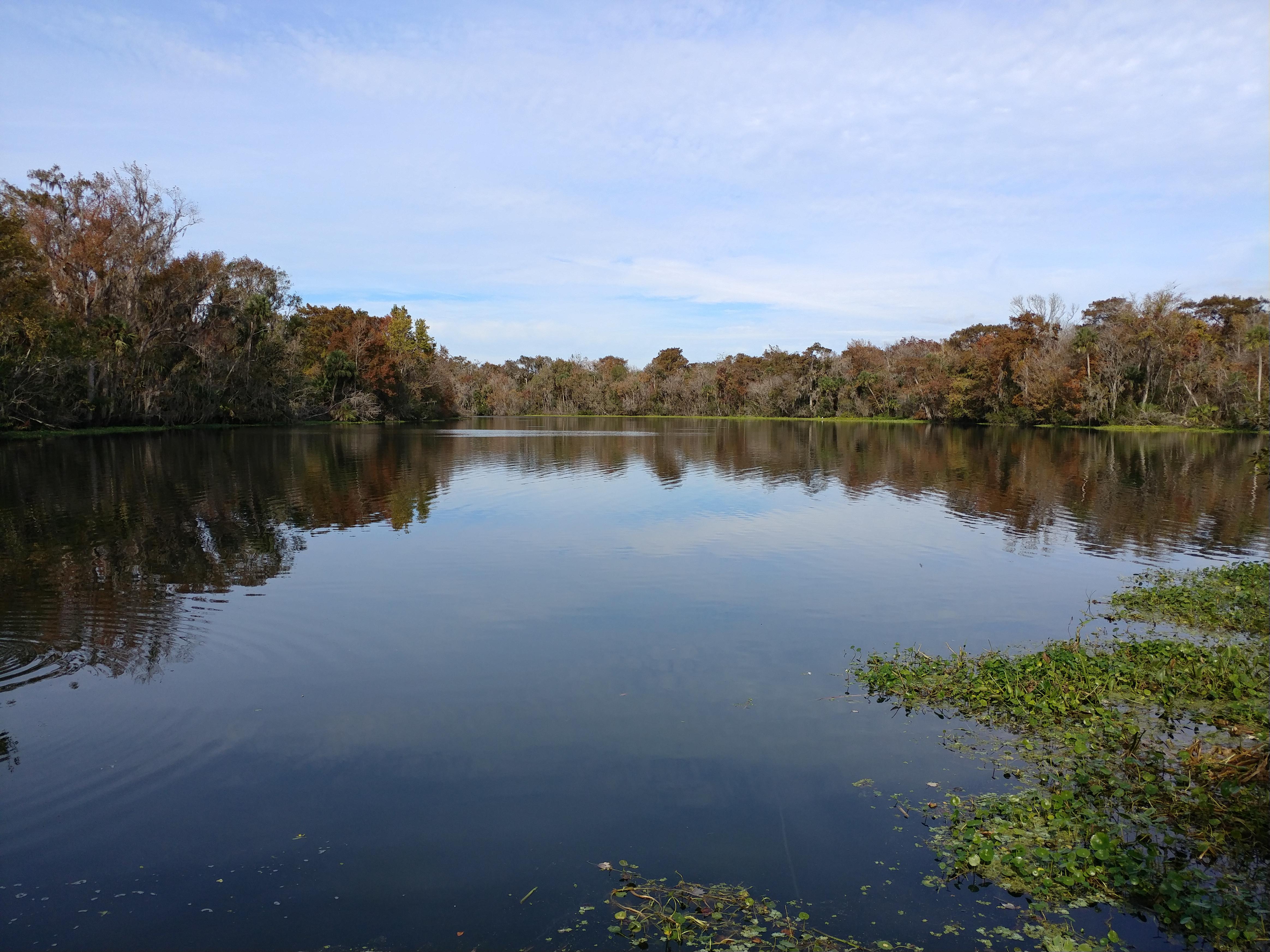A relaxing day at DeLeon Springs over the weekend r/pics