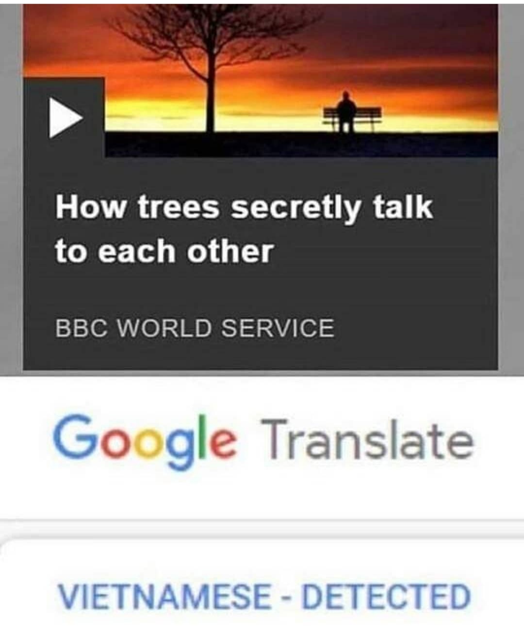 They're in the trees!! The fucking trees! HistoryMemes