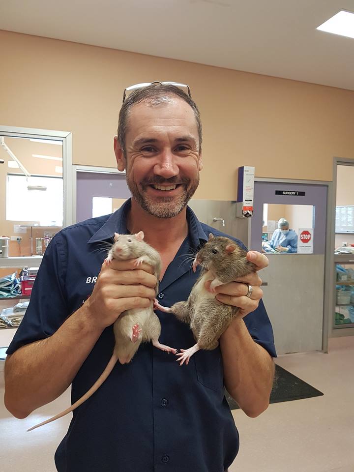 Our small animal vet posing with our fur babies predesexing, he loves