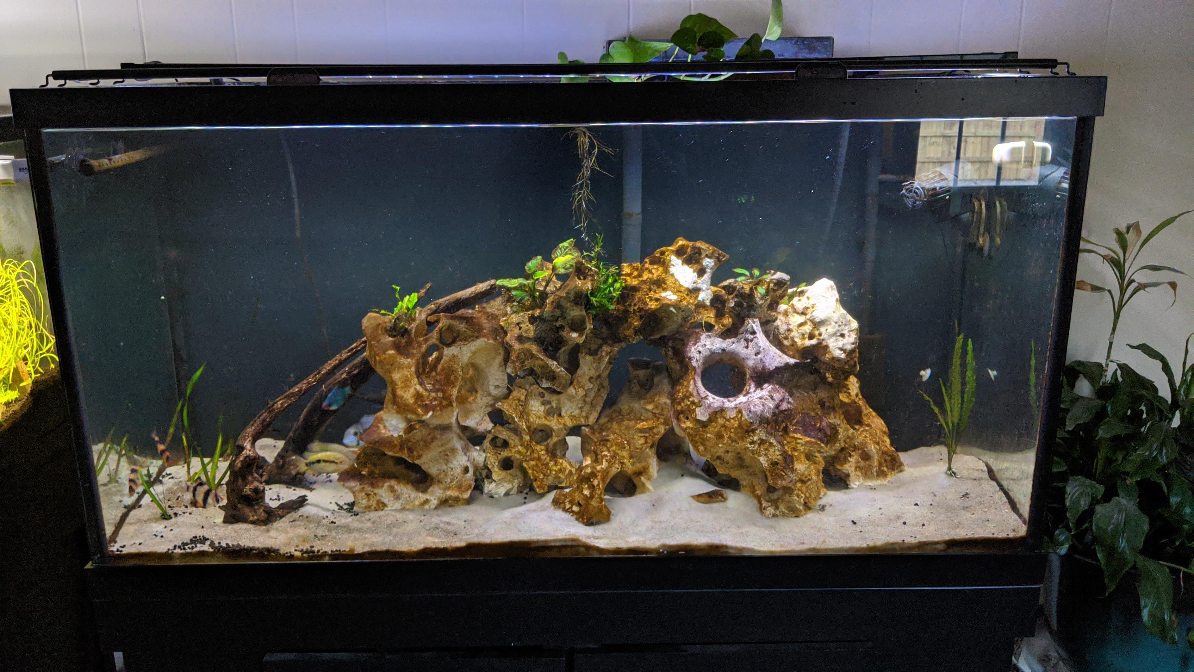 Best way to clean holey rock? Bleach? Power washer? r/Aquariums