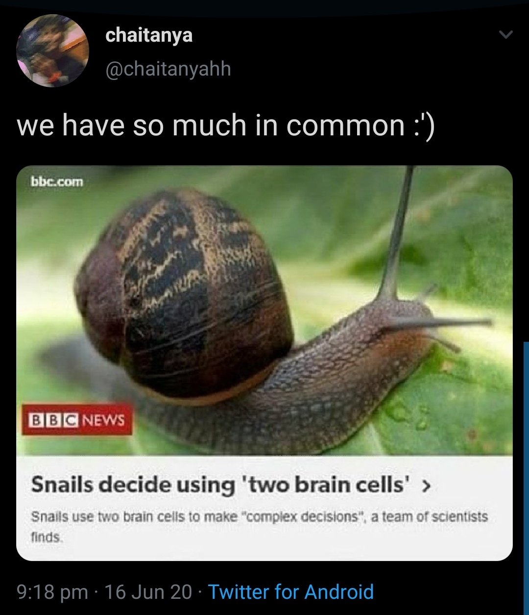 slow moving and dumb. so alike r/memes