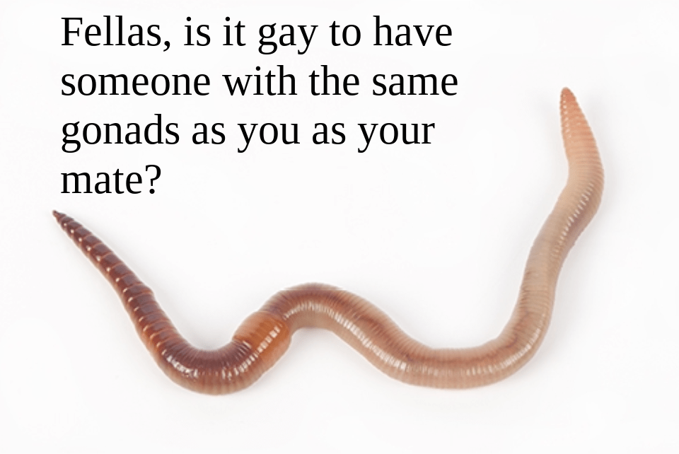 202 best Hermaphrodite images on Pholder Microgrowery, Awwducational