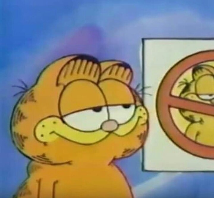 Hmm imsorrygarfield