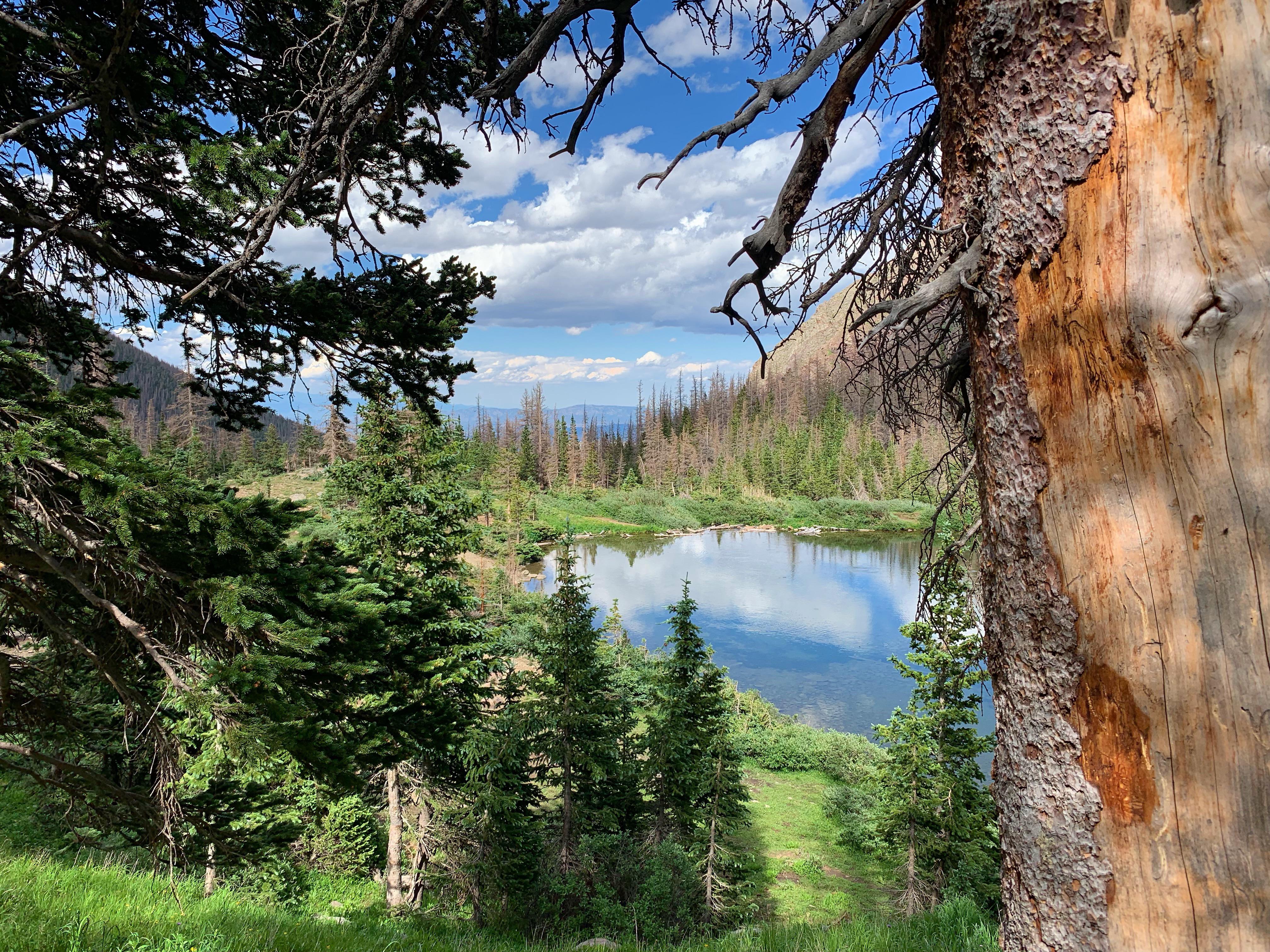 San Isabel National Forest, CO [OC][3265x2448] r/EarthPorn