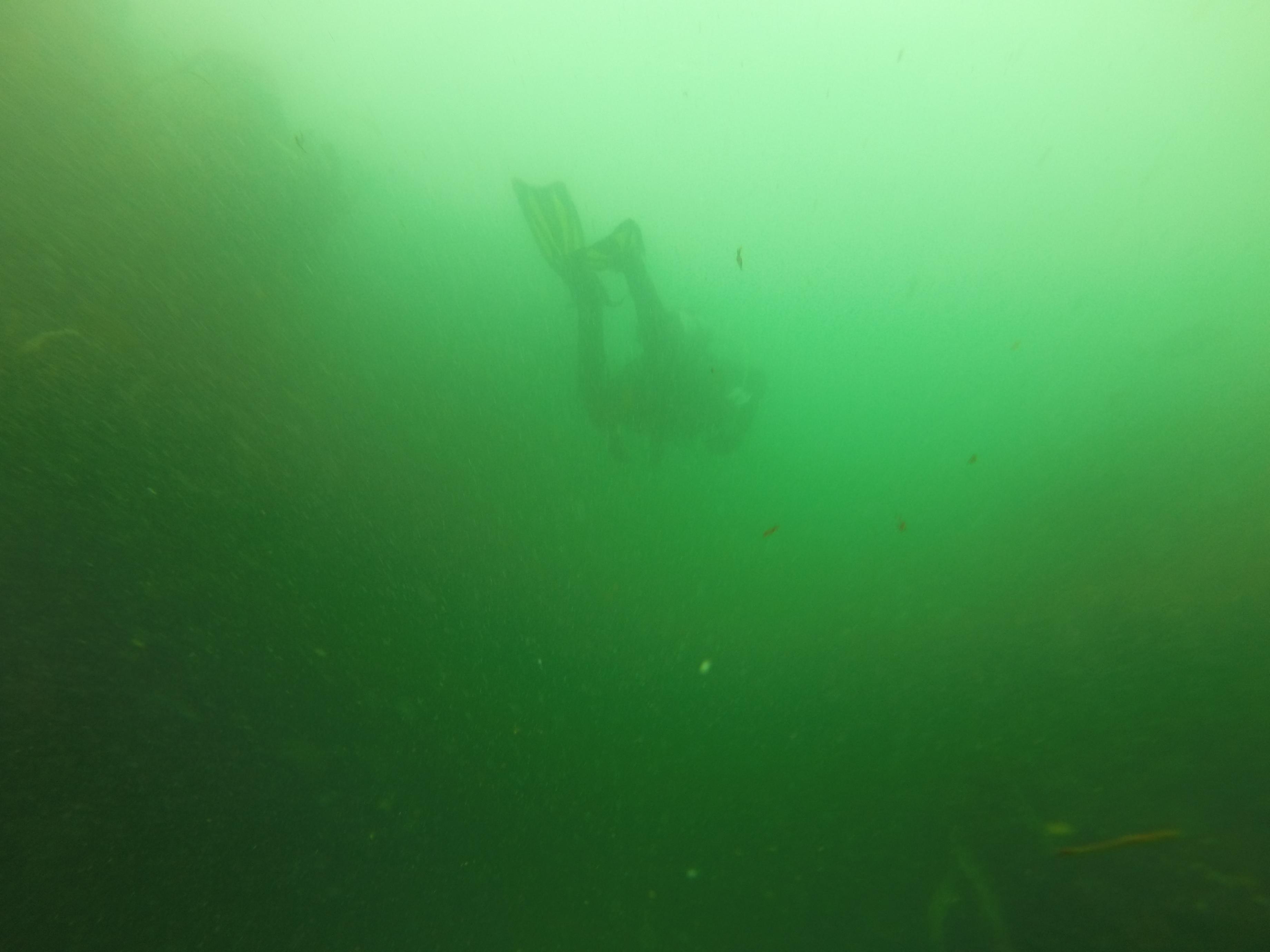 Poor visibility in my first postcert dive but still tons of fun. r/scuba