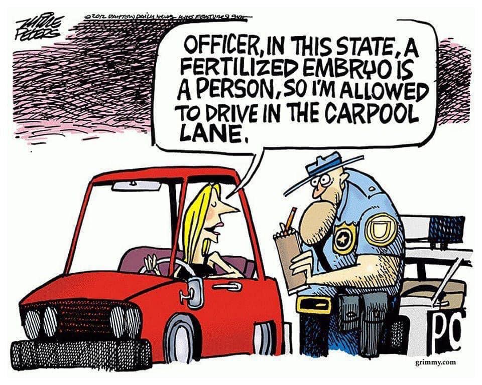 365 best Carpool images on Pholder Bone Apple Tea, Idiots In Cars and