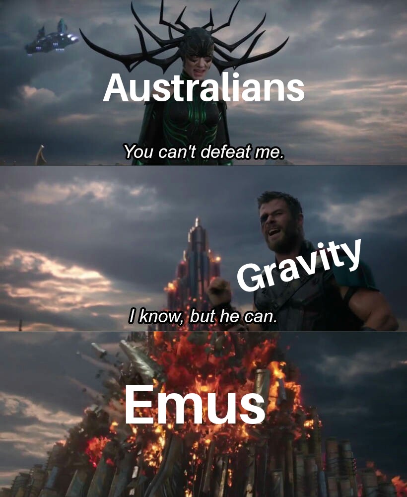 Land down under r/dankmemes