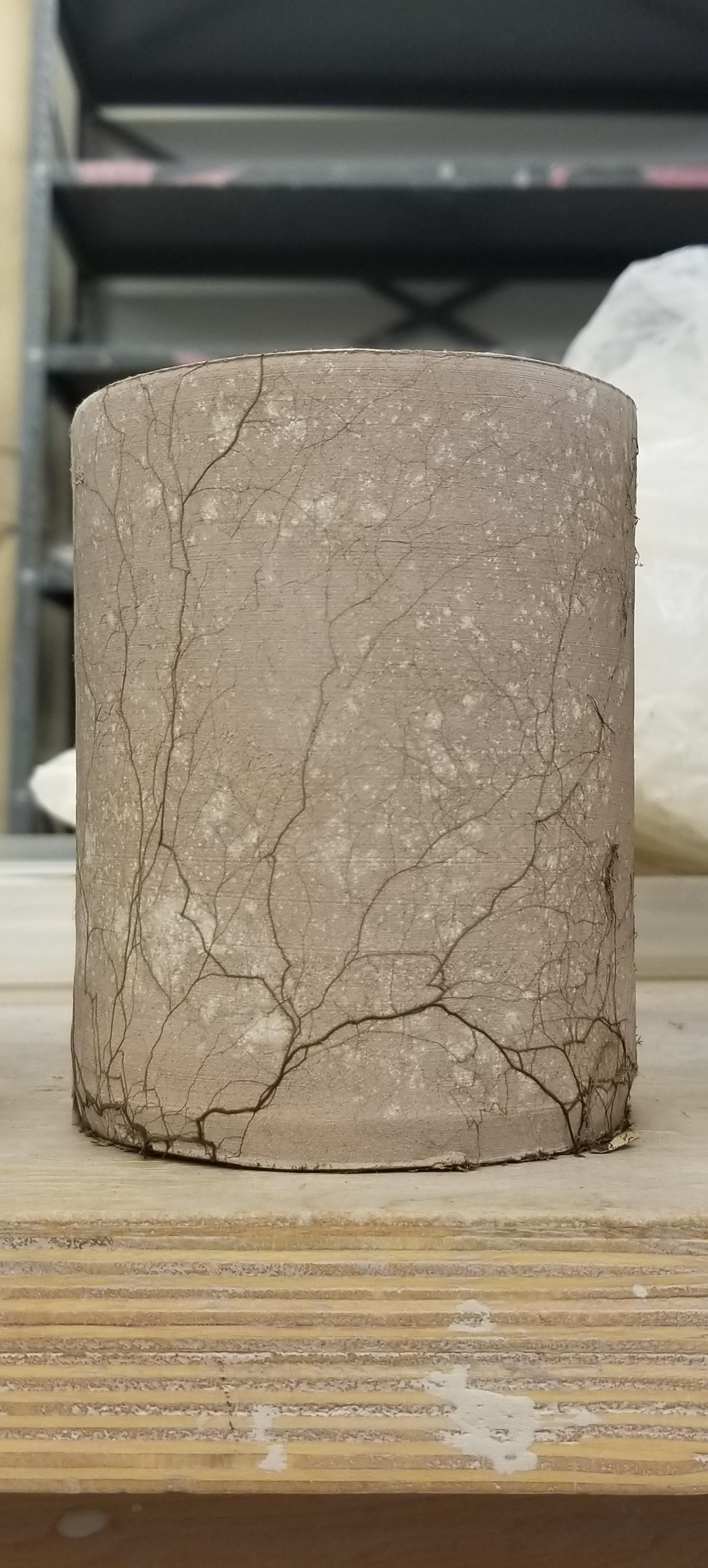 The way this mold is growing on this unfired clay cup r/mildlyinteresting