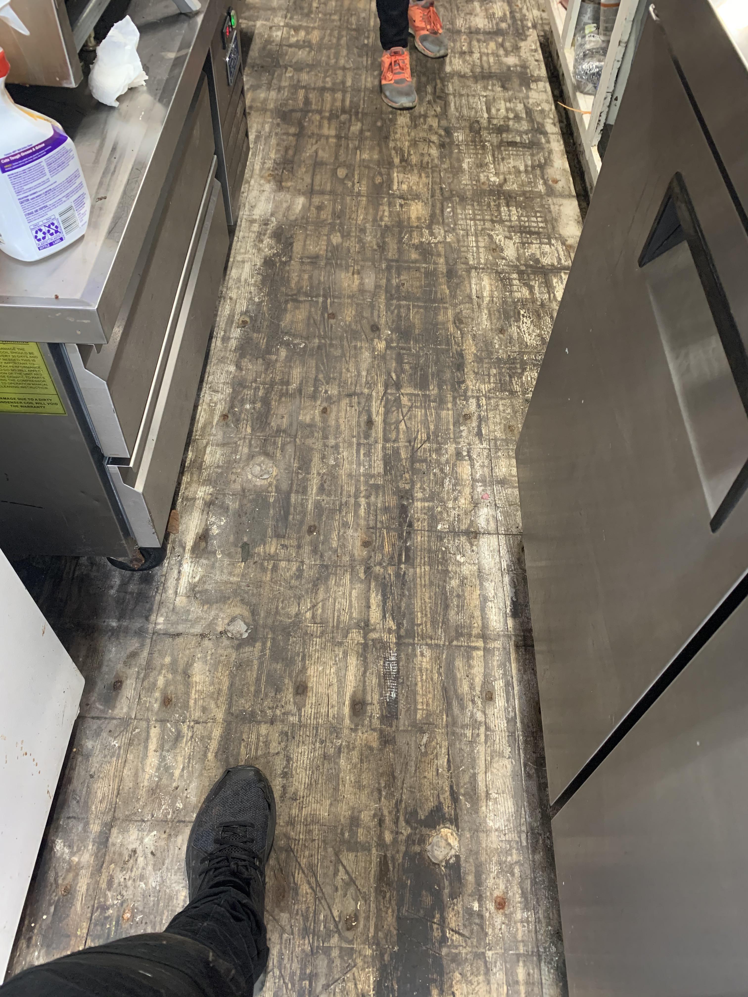 Need advice! Had to remove vinyl flooring. Cleaned and bleached the