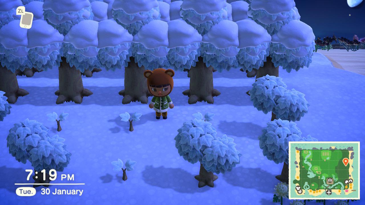 Why aren’t my fruit trees growing? r/acnh