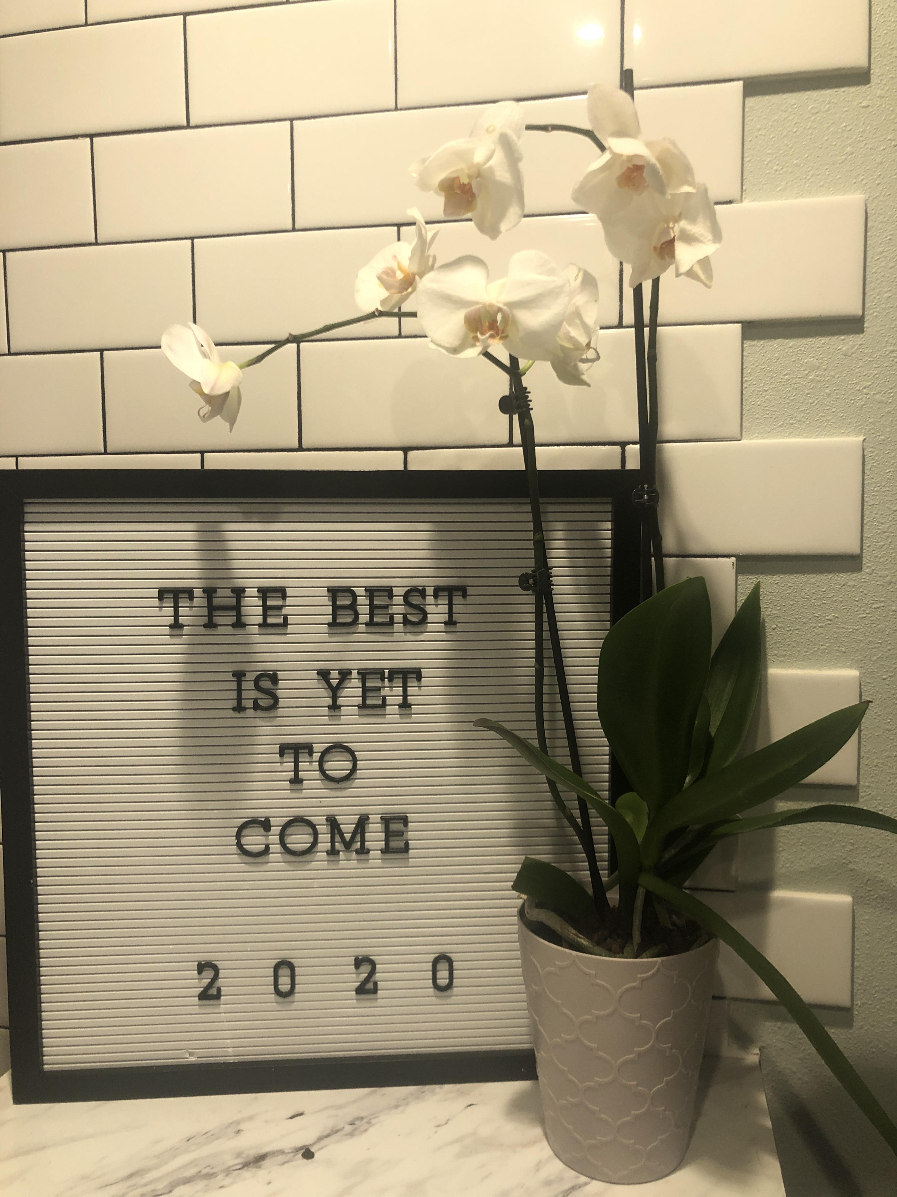 How often should I water this guy? I got him for Mother’s Day and the