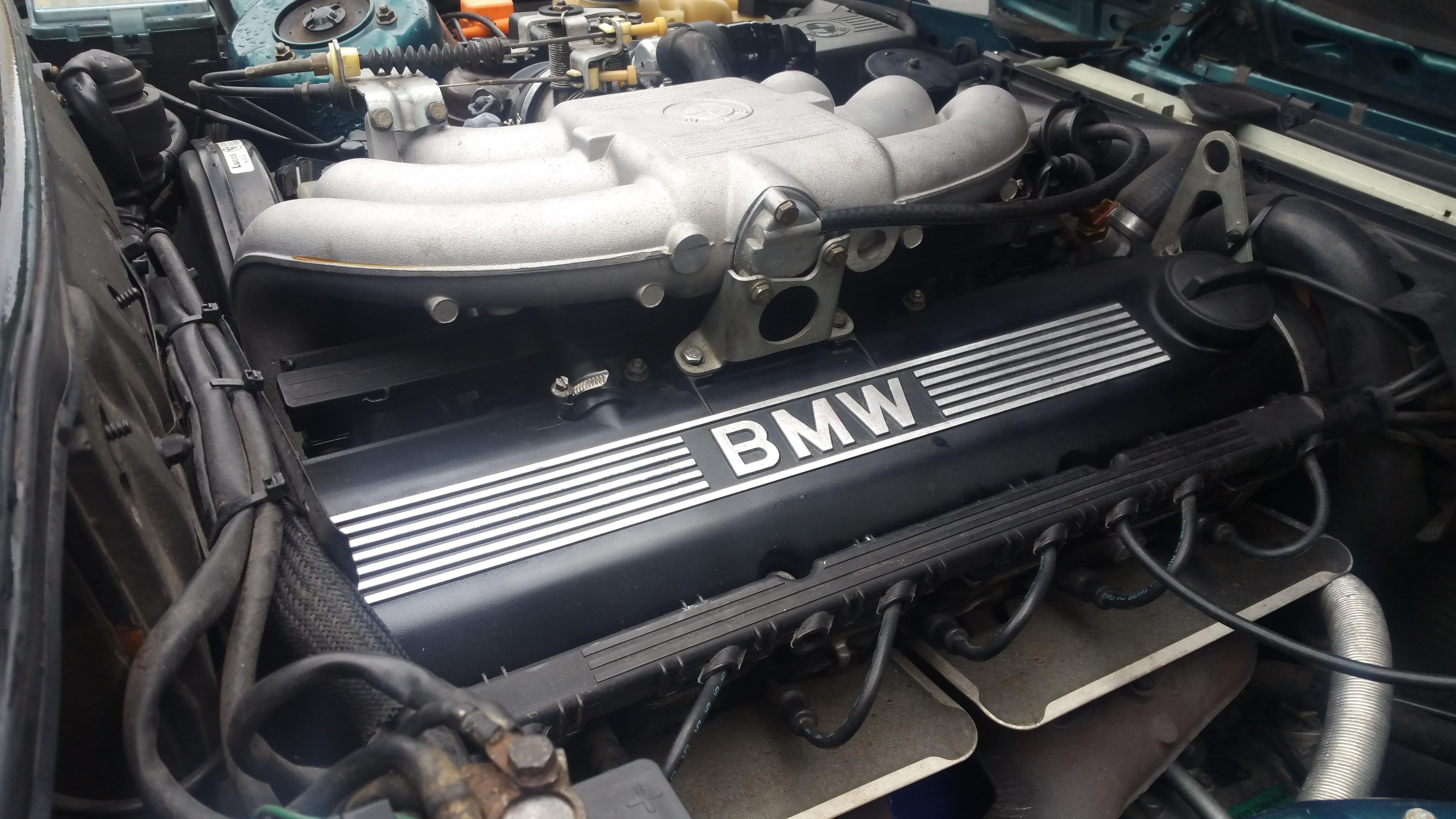 Did a valve adjustment today, why not paint the valve cover? r/E30