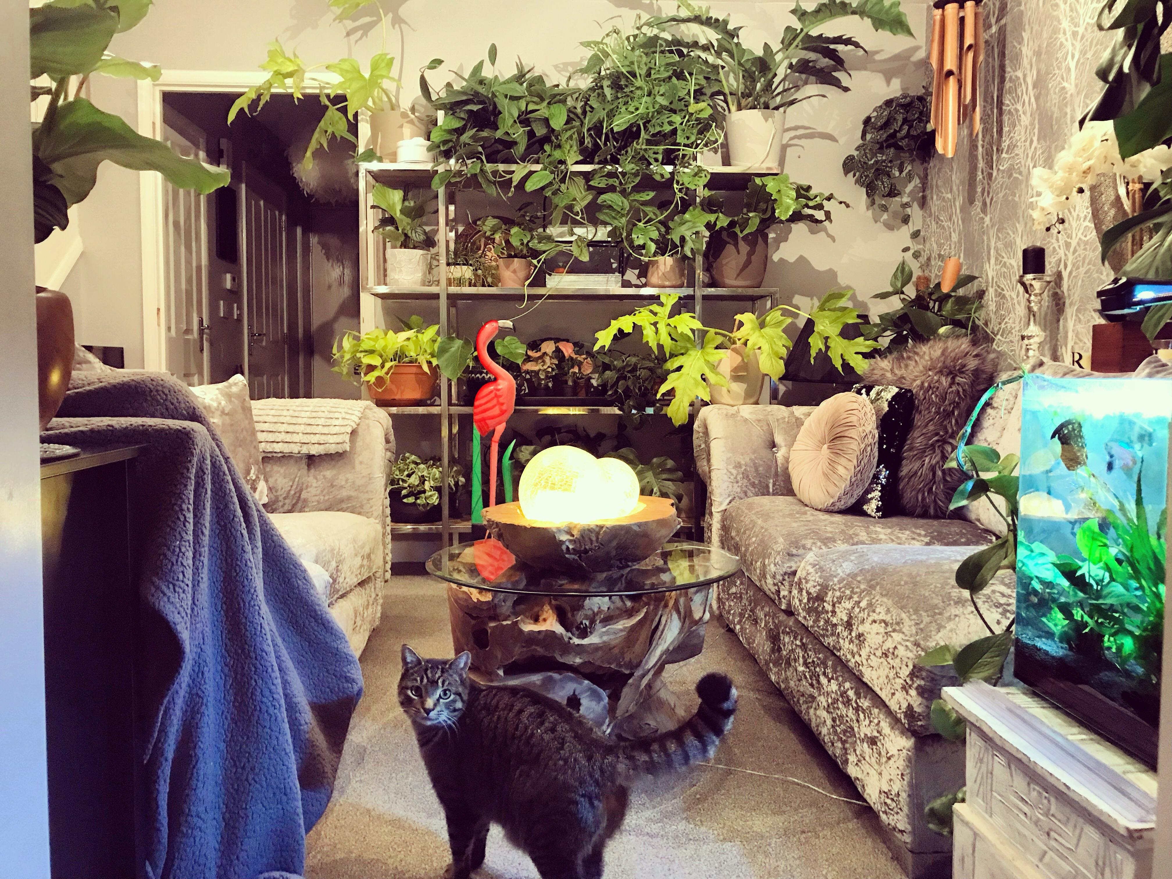 25 Best Living Room Ideas Stylish Living Room Decorating Indoor