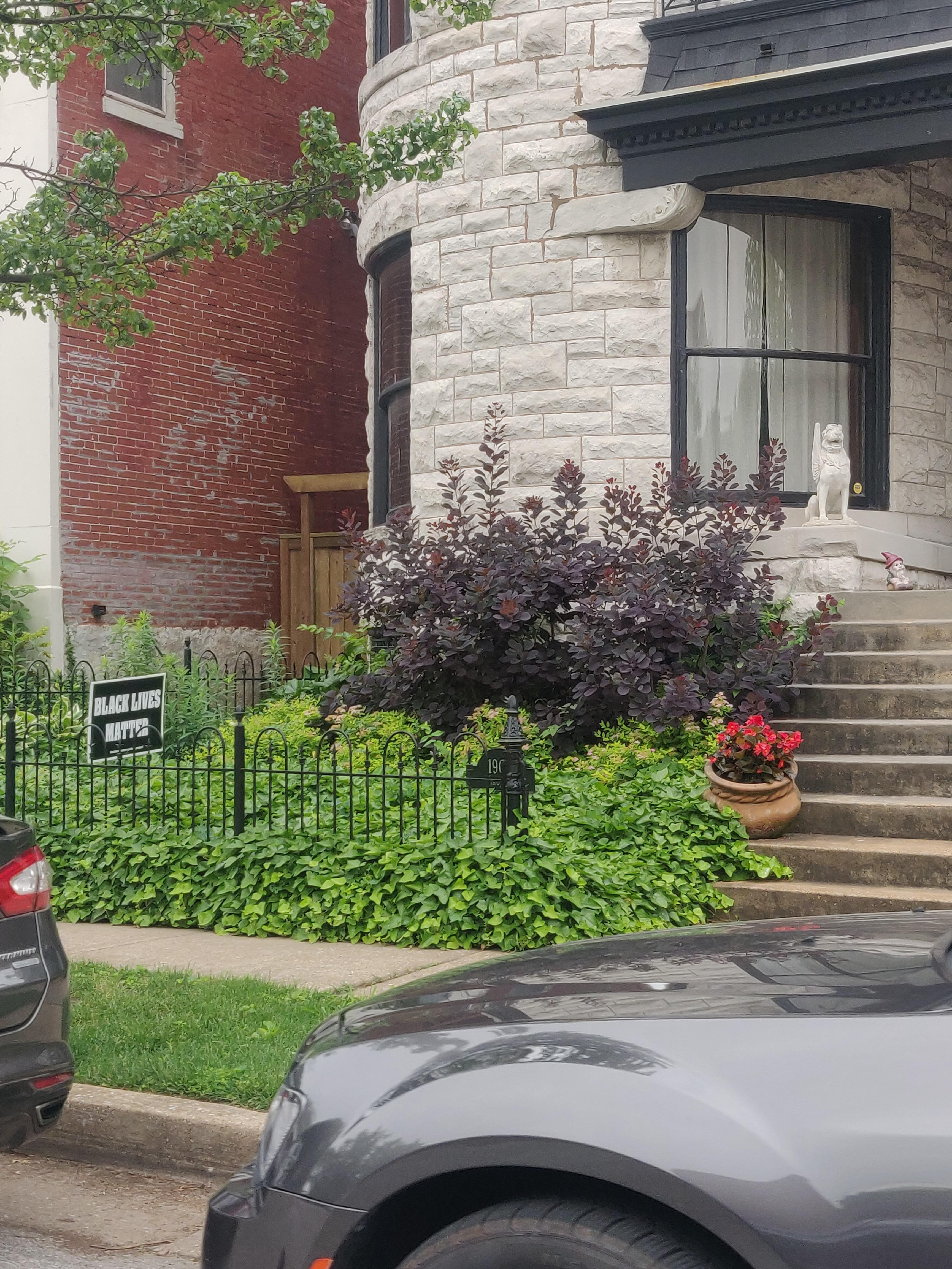 What is the magnificent burgendy shrub? St. Louis, MO r/landscaping