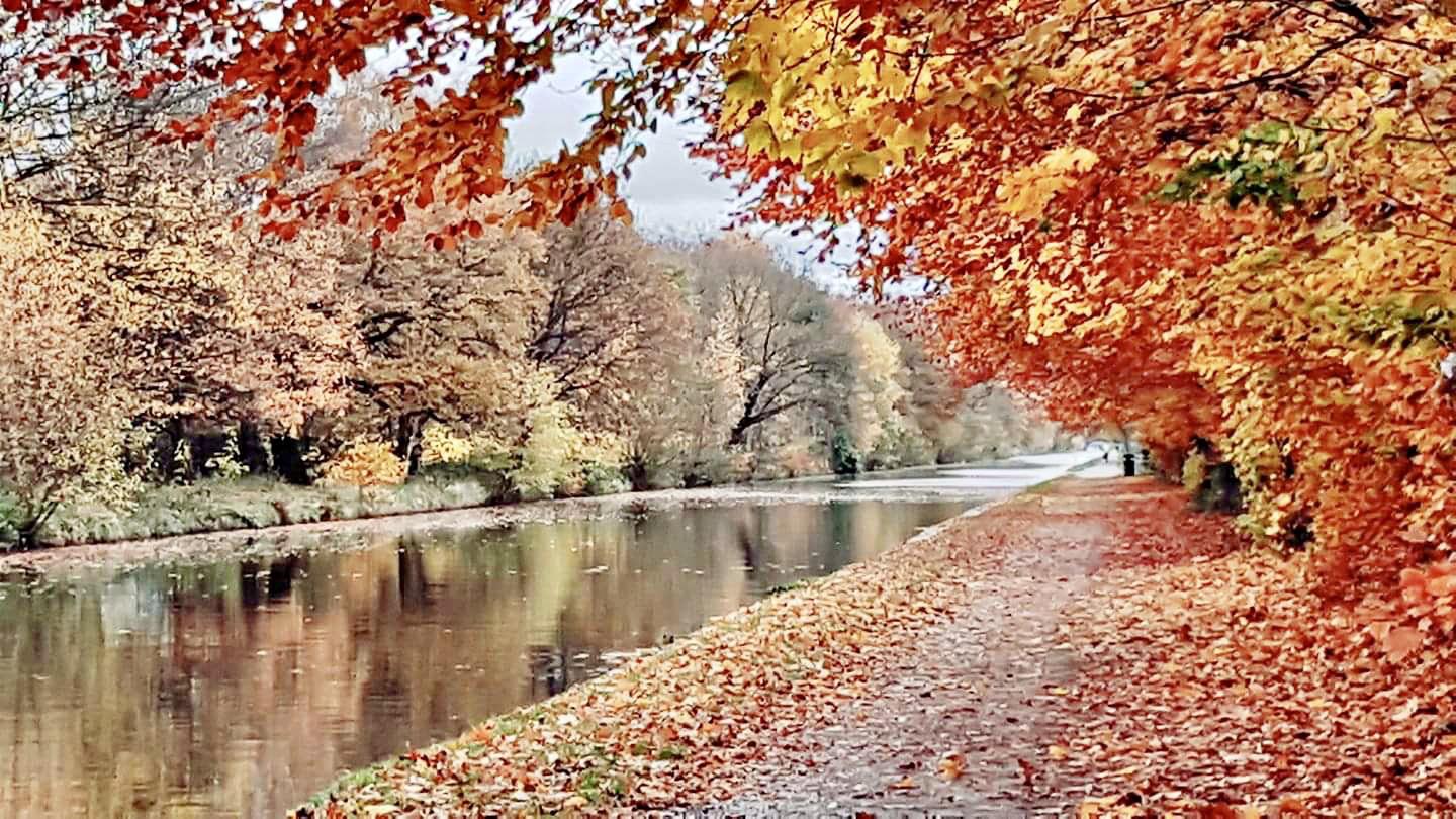 Autumn Colours, Bridgewater Canal, Sale, Manchester, England. r/Outdoors