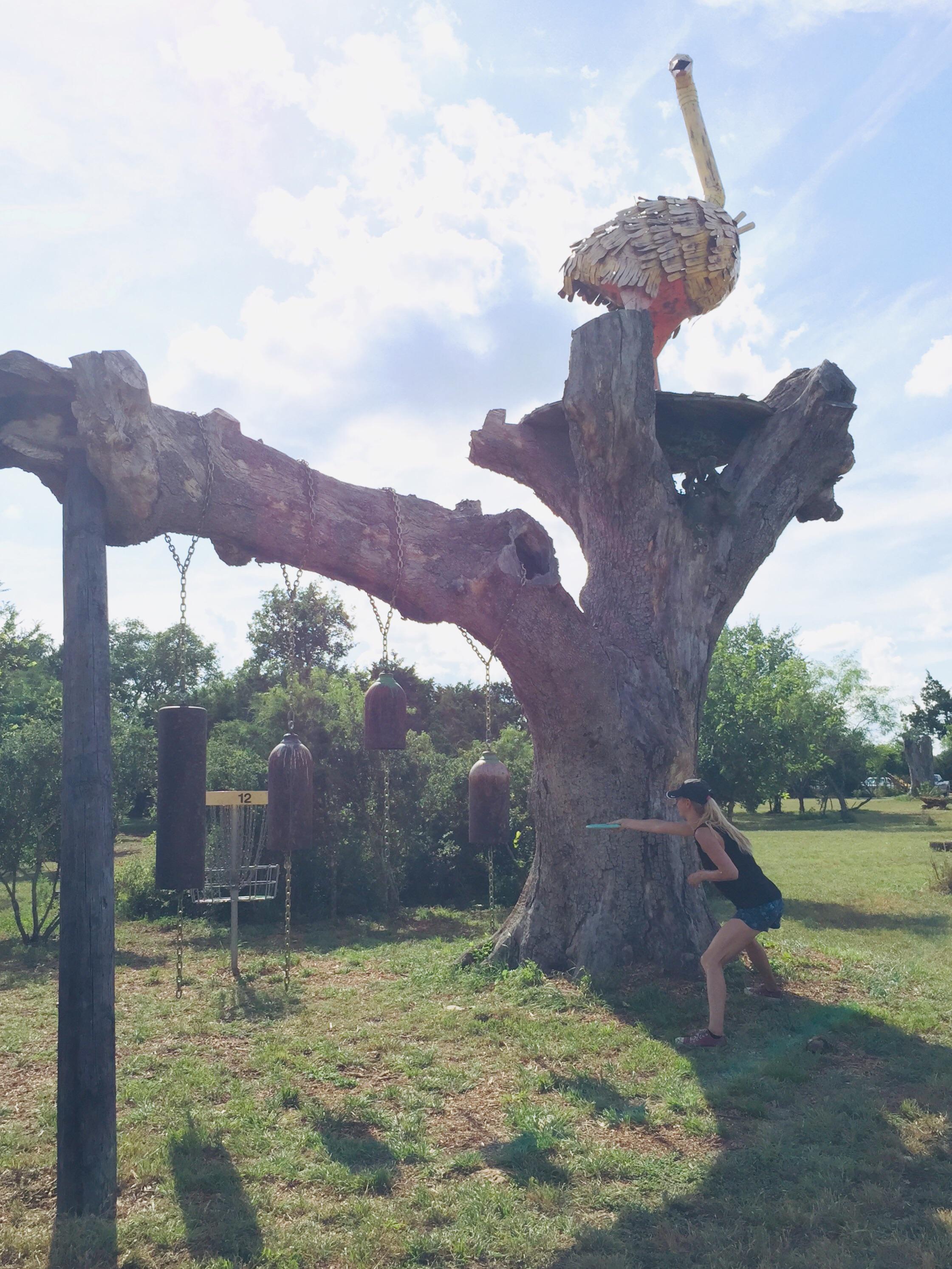 First time playing at the Flying Armadillo disc golf club. So fun! r