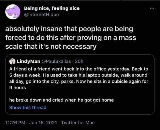 Started a home office job earlier this year, best work experience I’ve