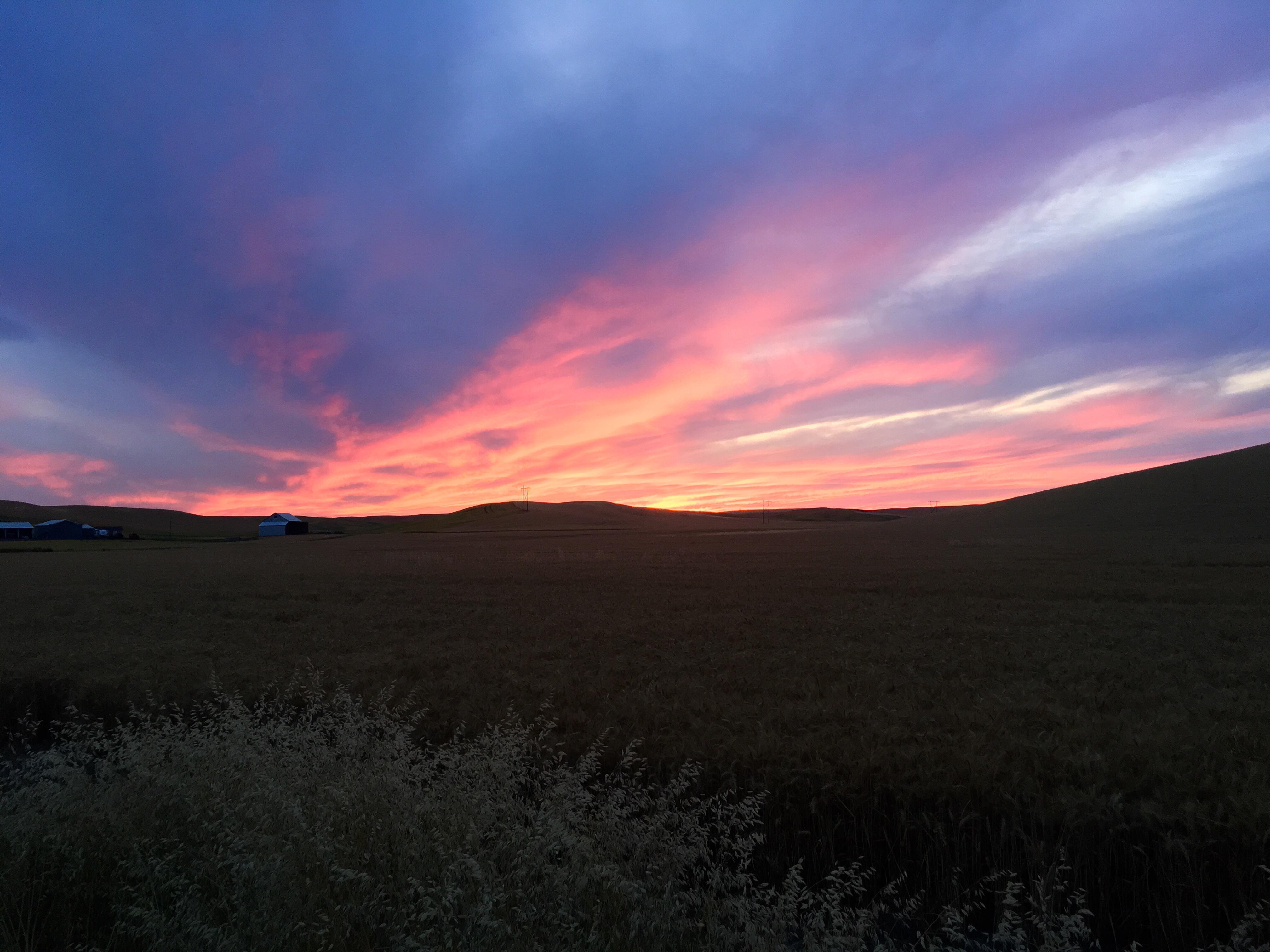 A sunset in Genesee, Idaho r/pics