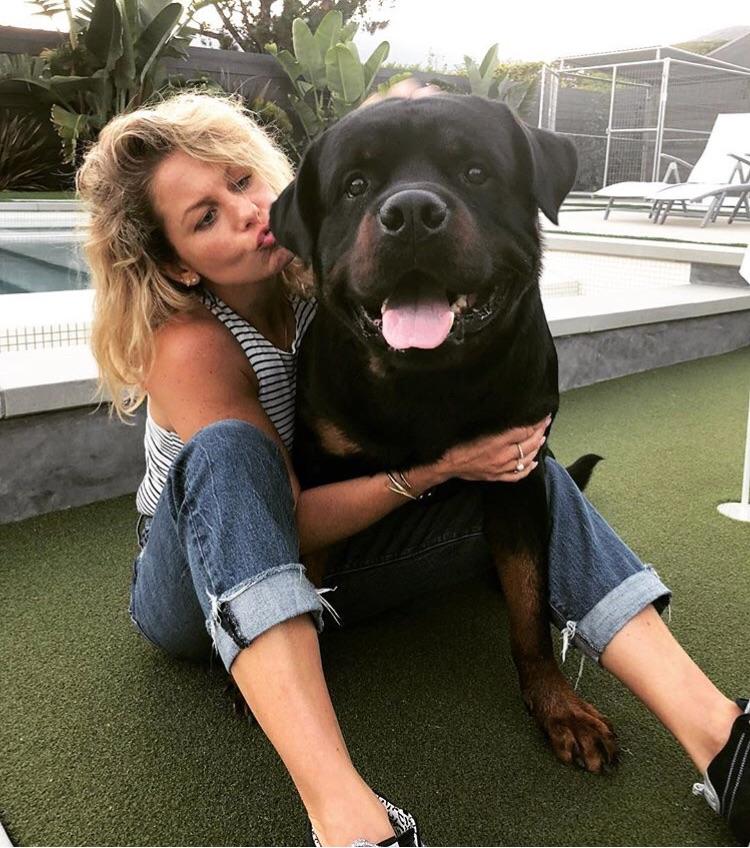 Candace CameronBure’s dog Boris...Holy Moly!! r/aww