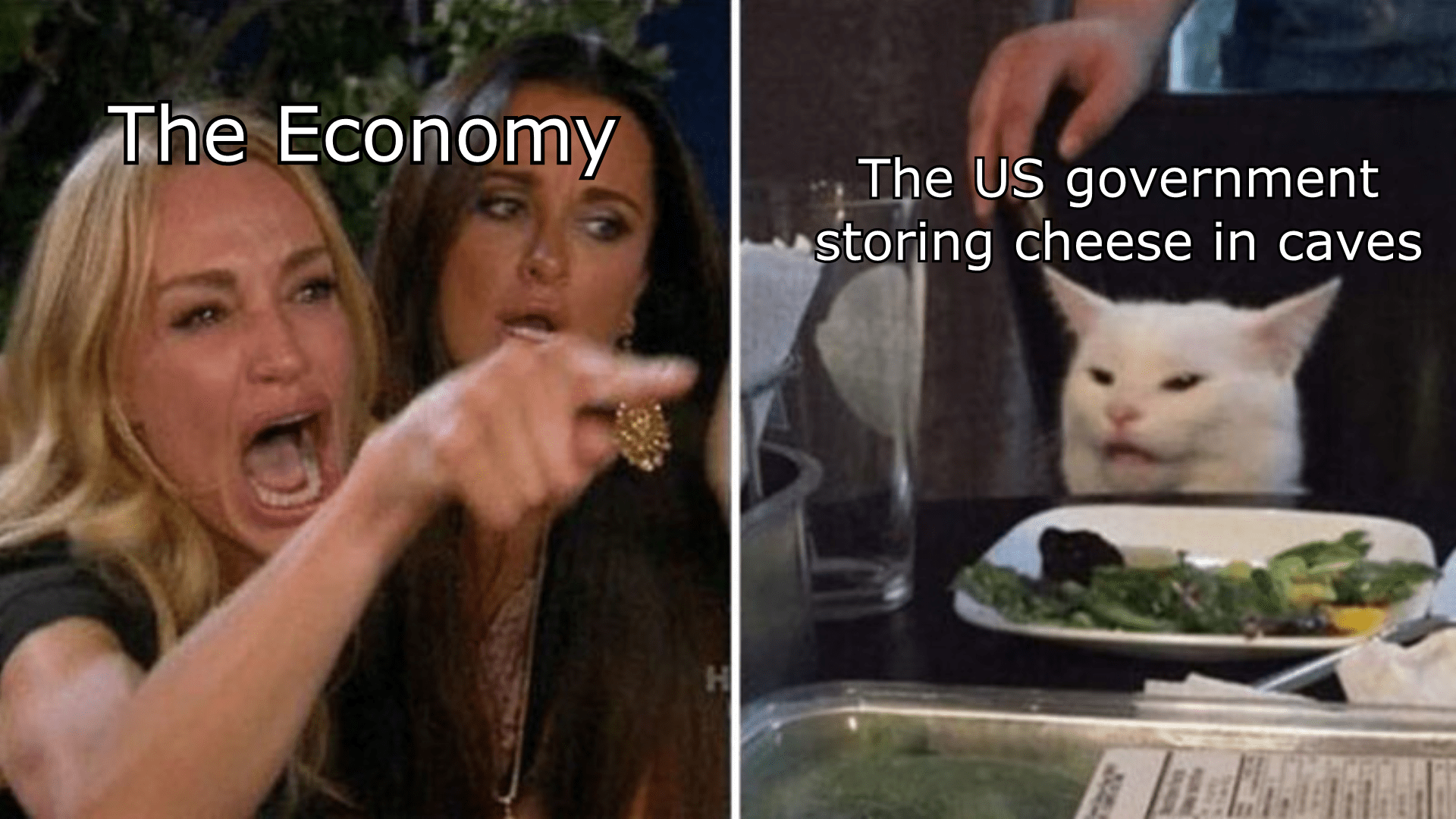Ever heard of Government Cheese? r/HistoryMemes