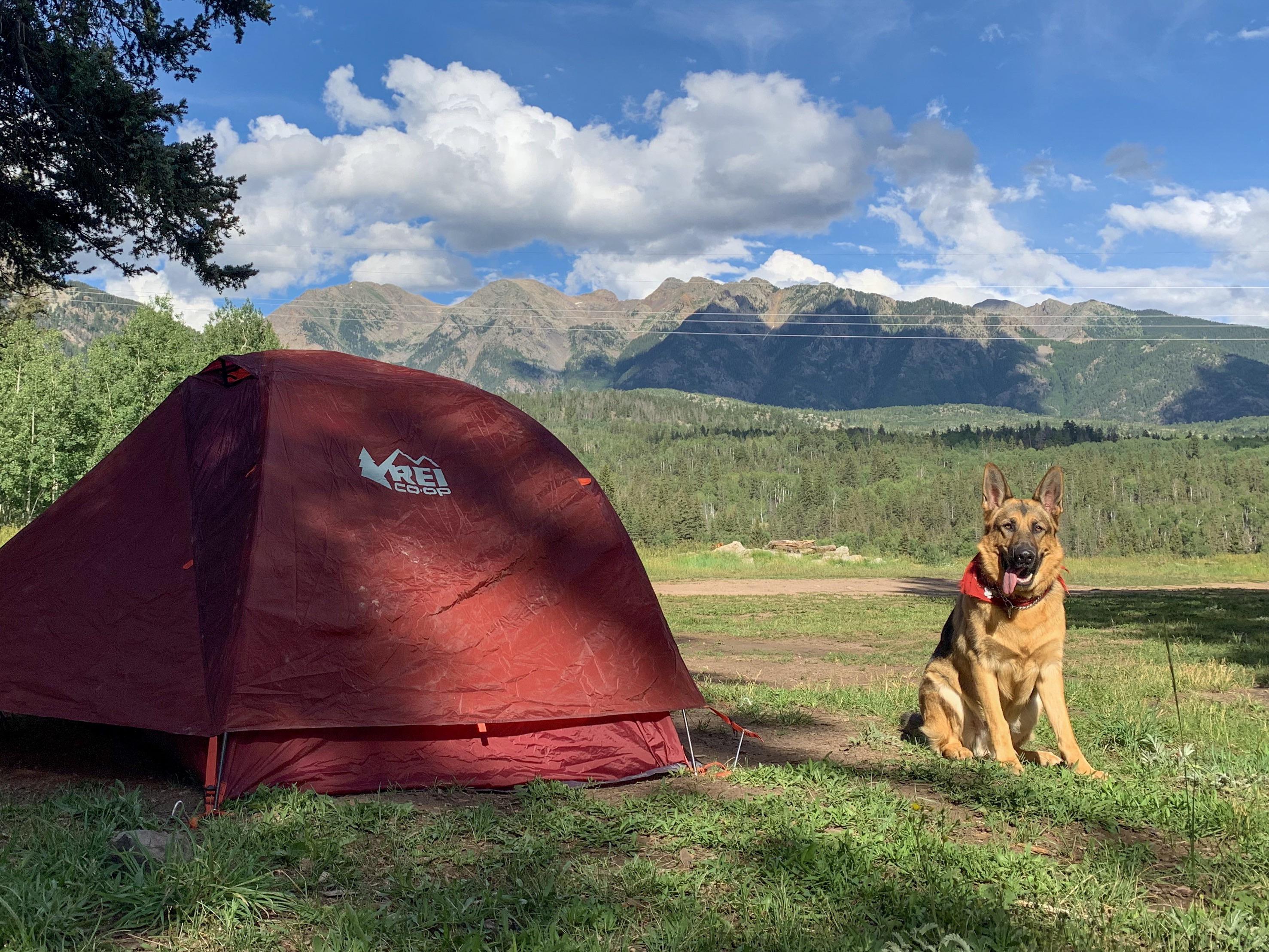 Our home for the night in the San Juan mountains, Colorado. r/camping