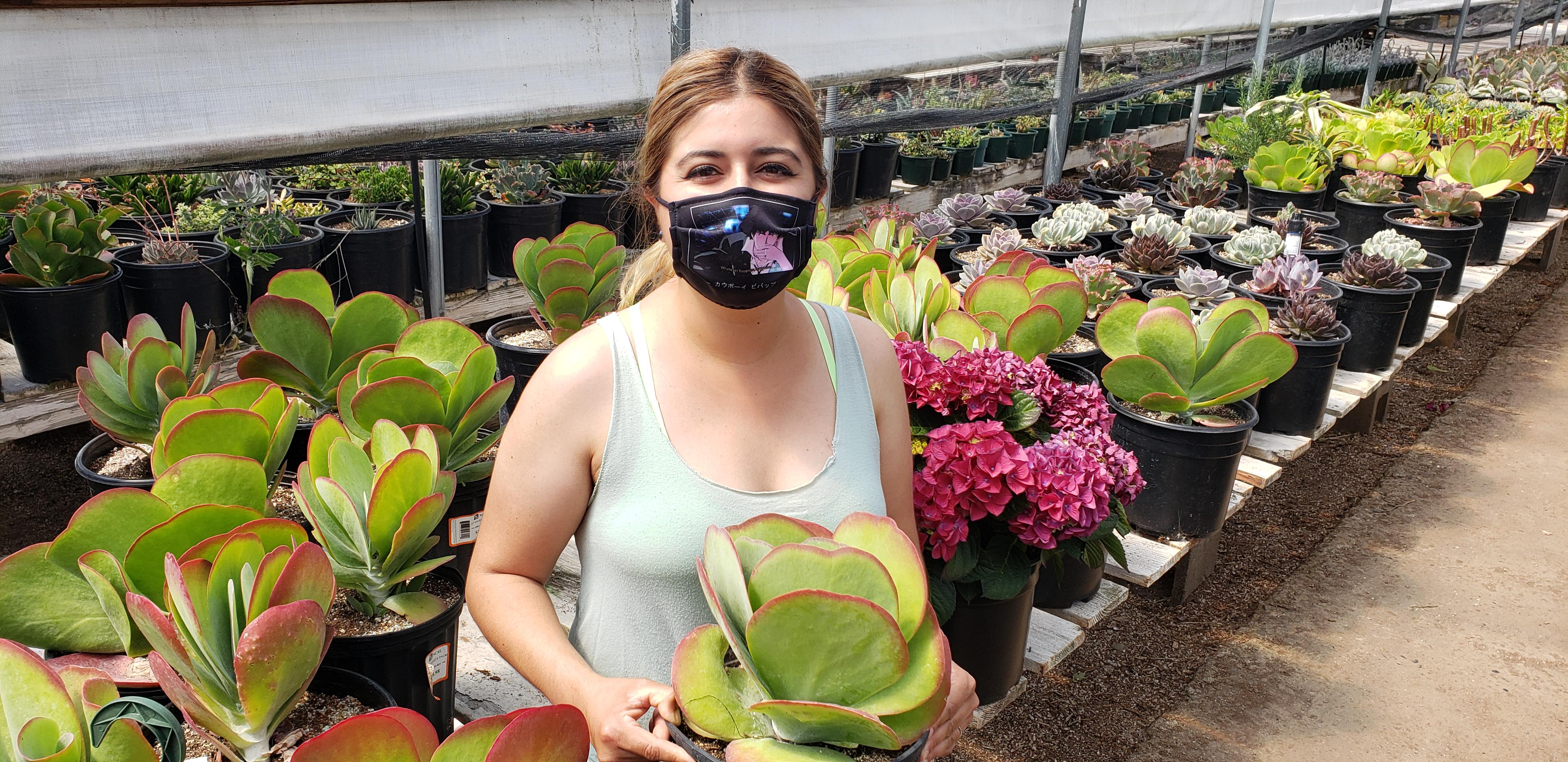 It's amazing to see how big succulents can get. This has inspired me