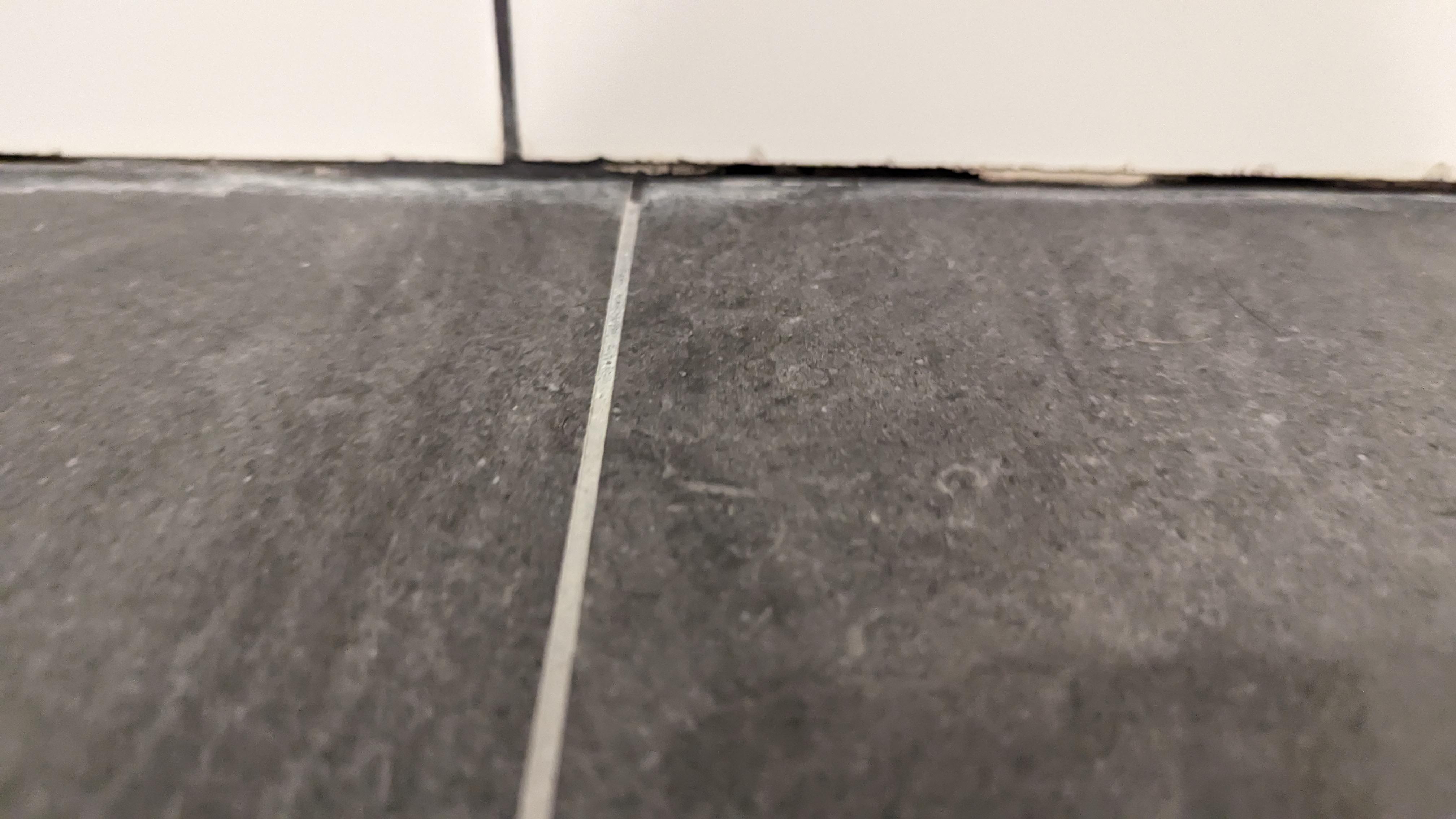 Shower Grout (& Waterproofing) r/AusRenovation