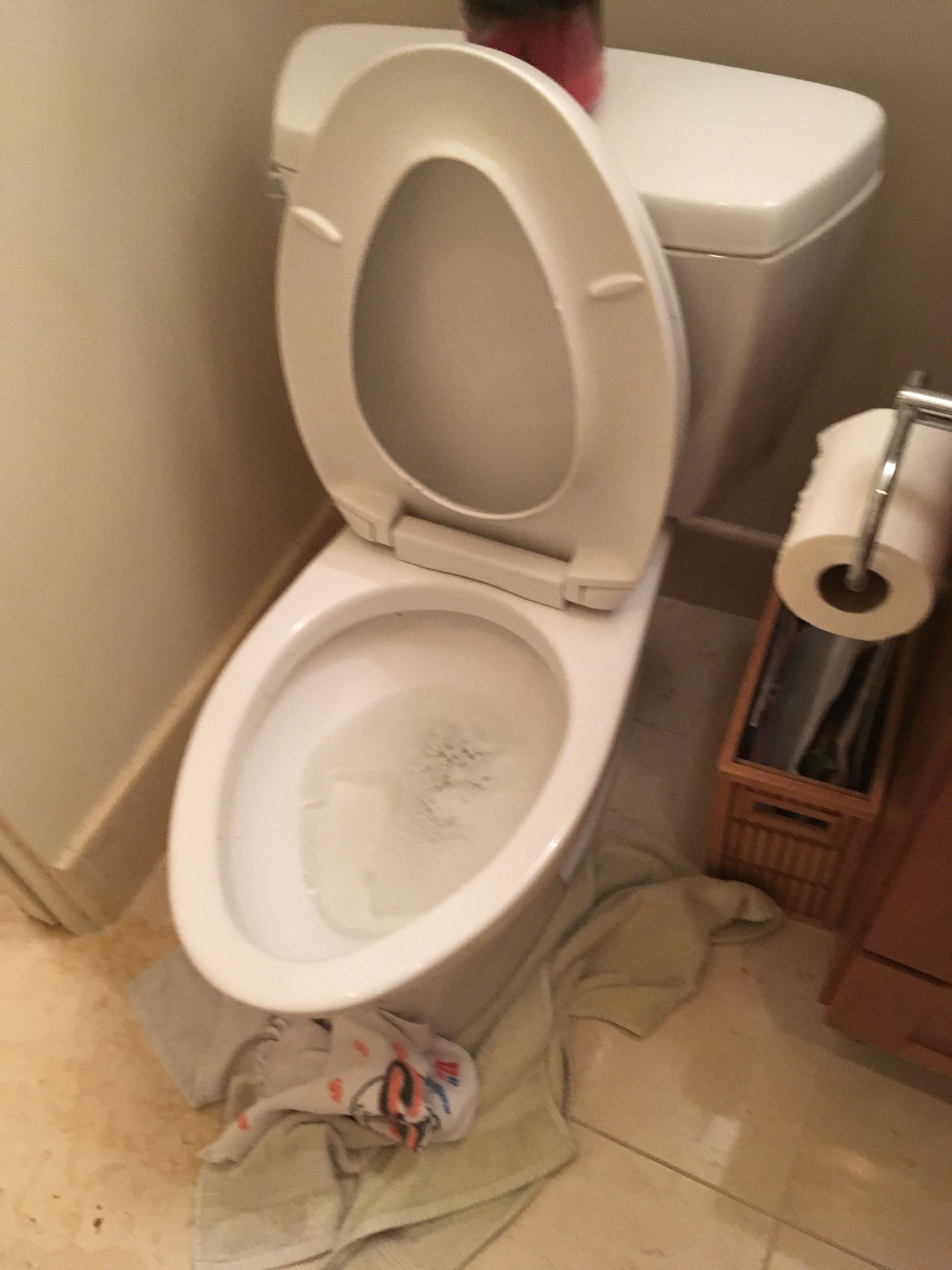 My toilet clogged, so I went out and got some liquid plumber and poured