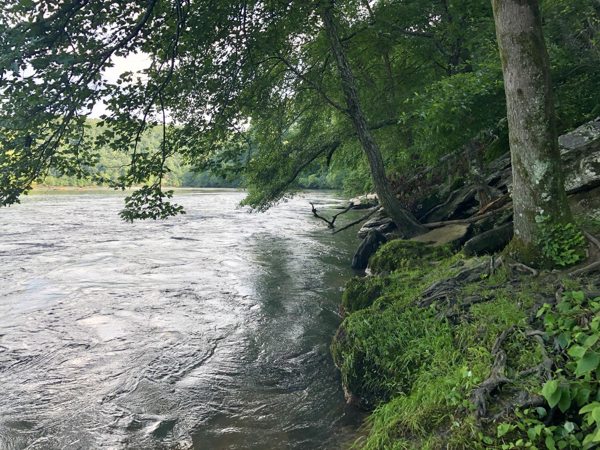 At Walton on the Chattahoochee good summer vibes r/Atlanta