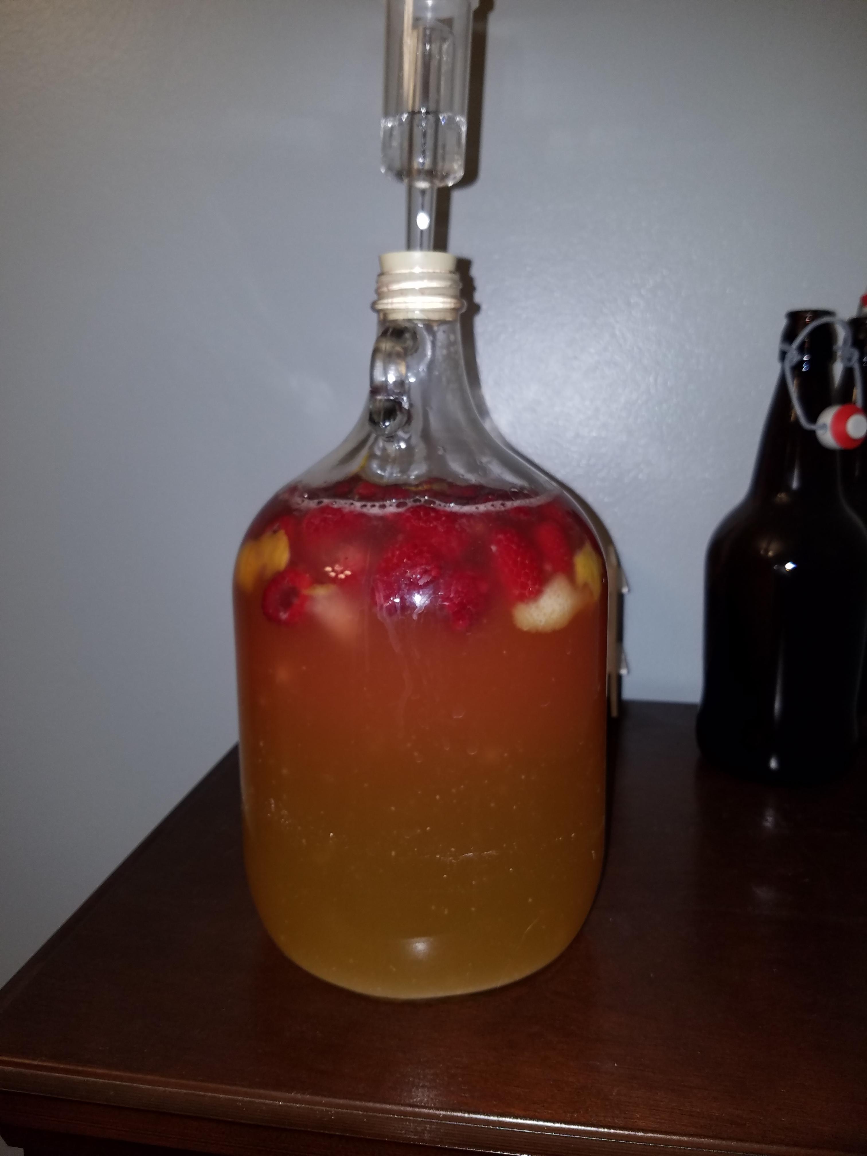 1 Gal Raspberry Lemon r/mead