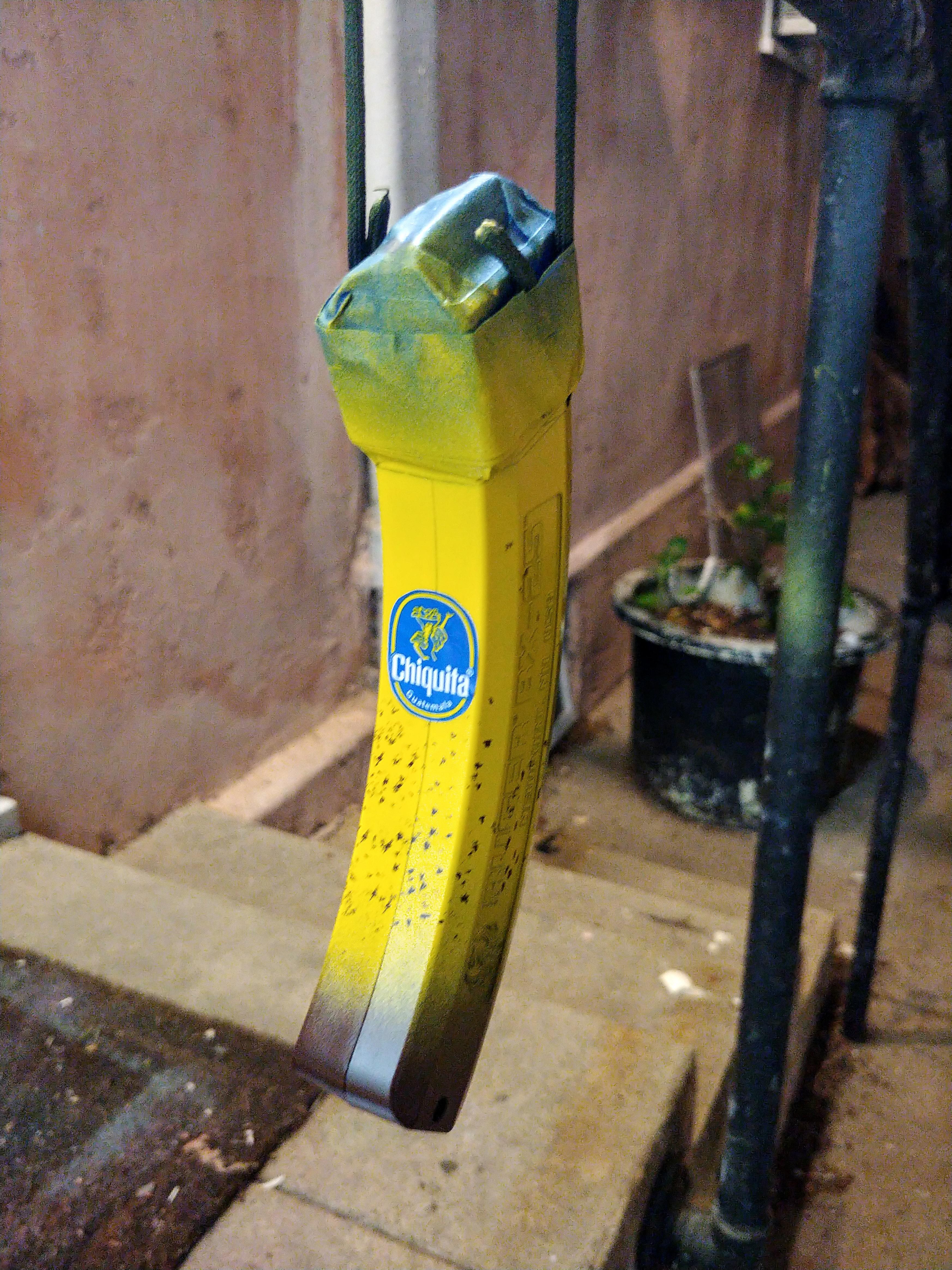 First Time Rattle canning a mag. r/guns