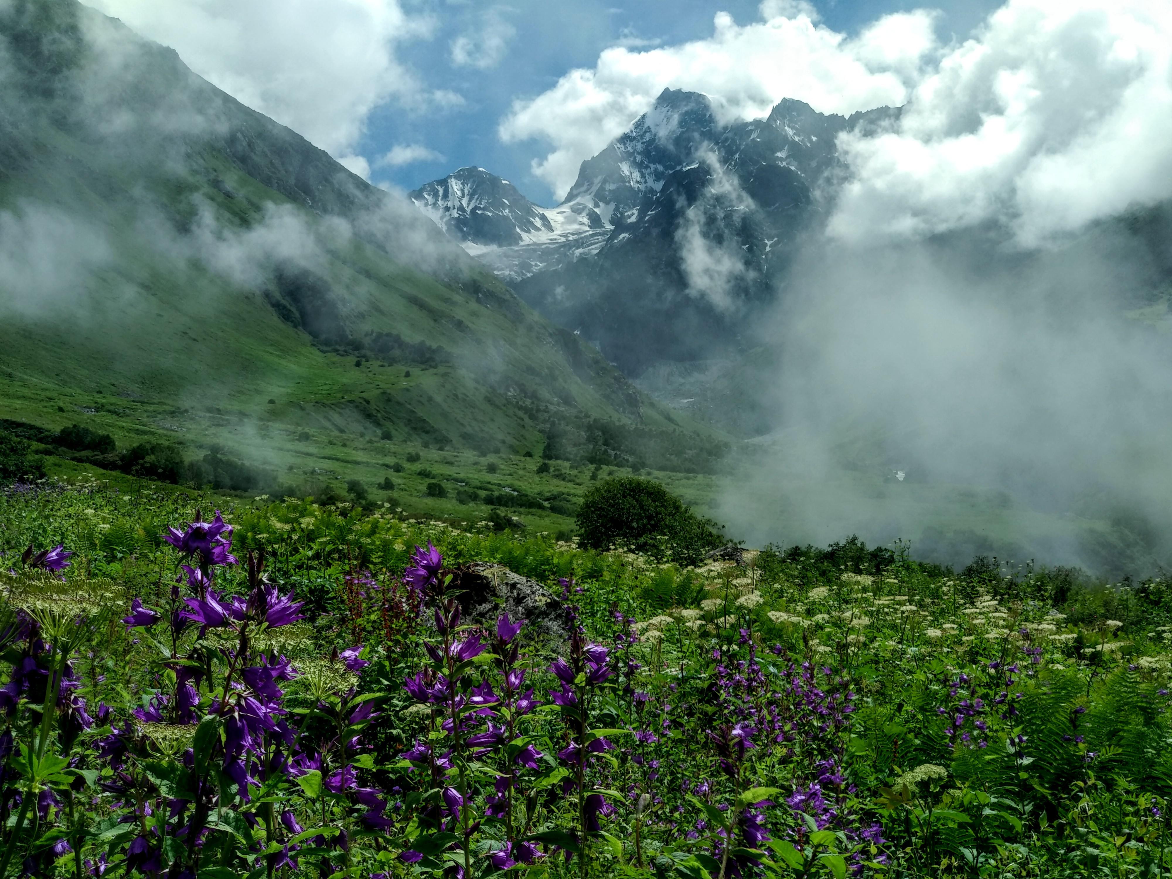 Ever been to the spectacular 'Valley of Flowers'? Chamoli, India r