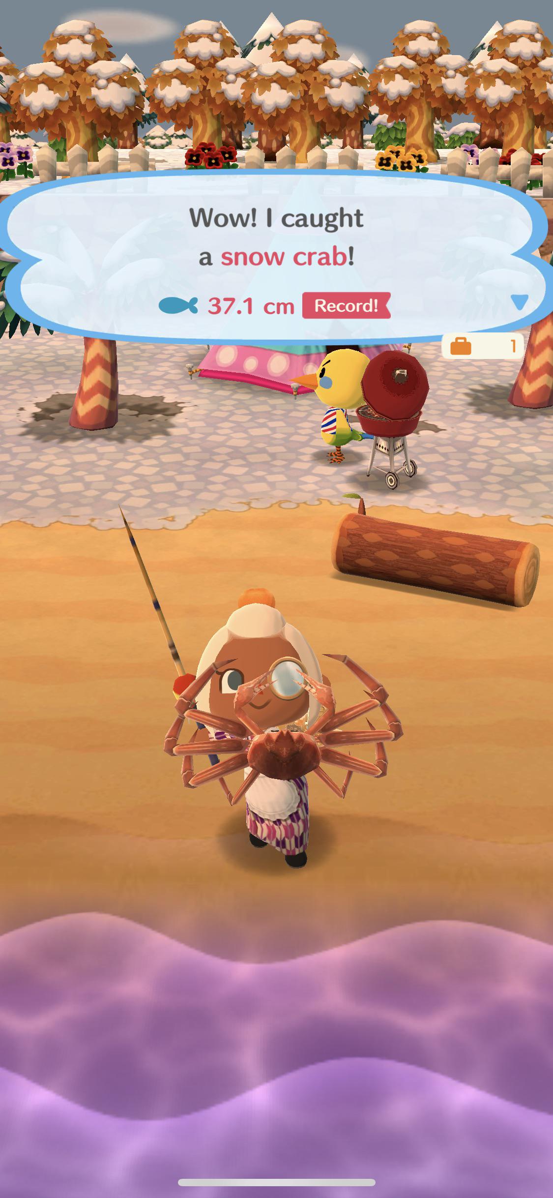 Final caught a snow crab! Probably had to catch 250+ fish to get to this point... 🦀 ACPocketCamp