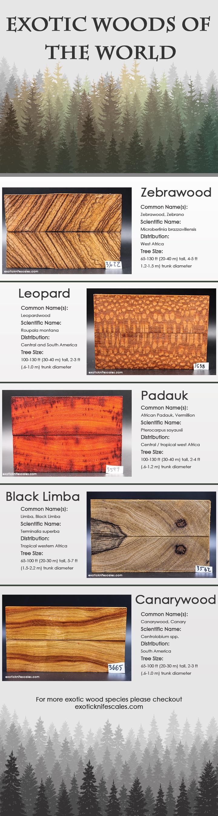 Exotic woods of the world 🌎 r/Woodcarving