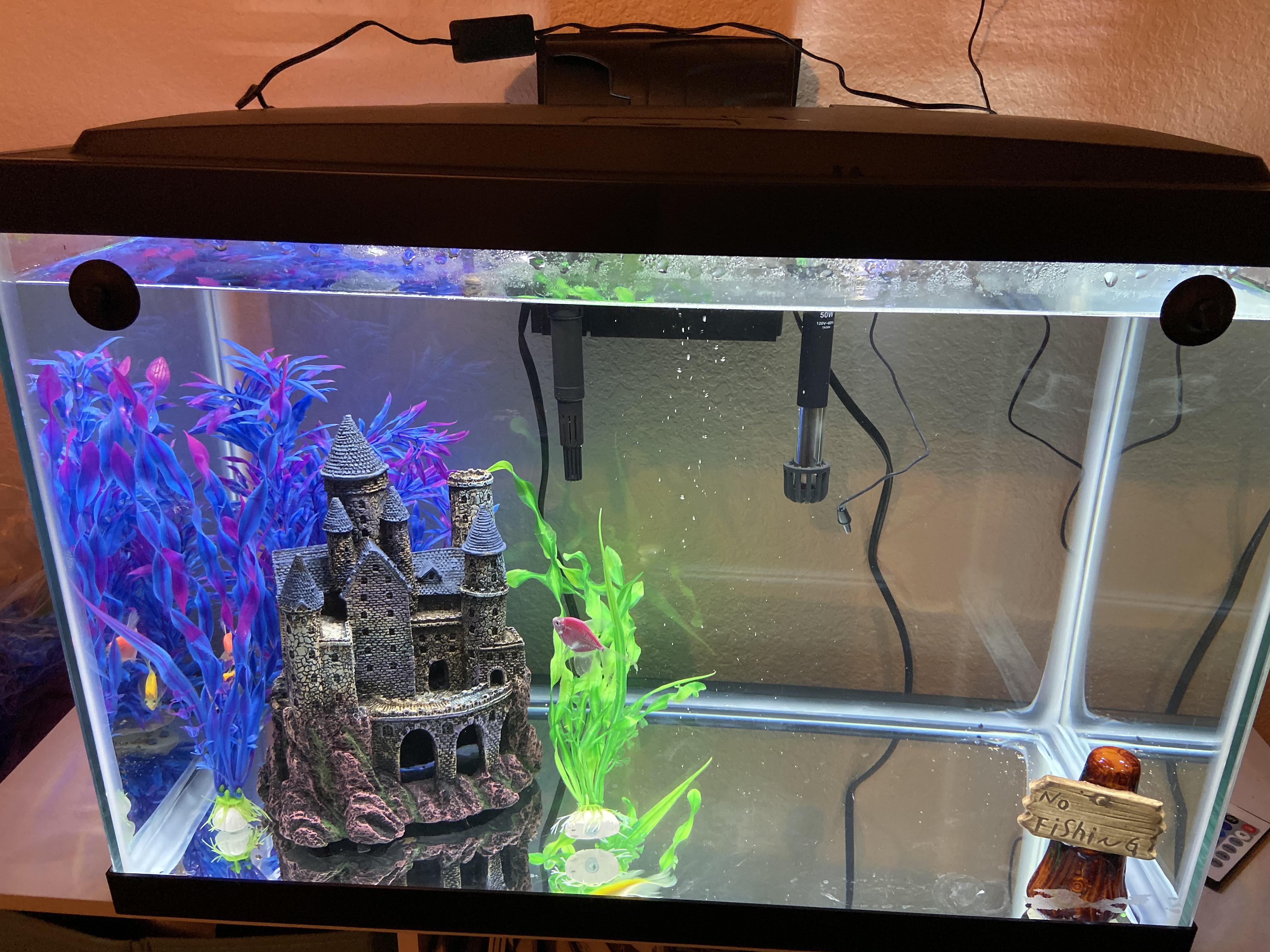 [FT/LF] AUSTIN, Texas 20 gallon aqueon tank (with working led hood