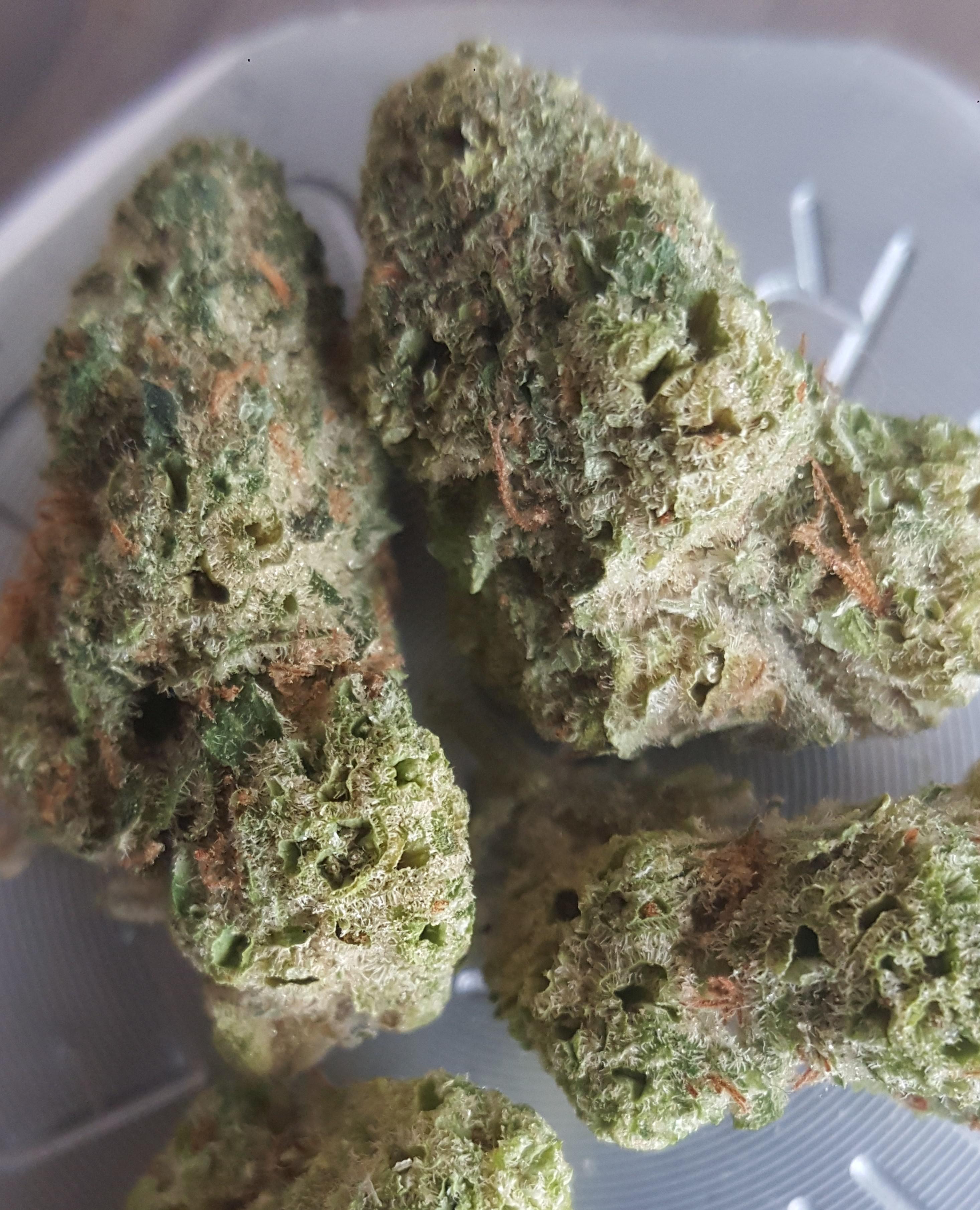 Chaos Kush 3 (Liberty, via Silver Therapeutics) bostontrees