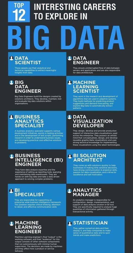Top 12 Careers in Big Data Infographics