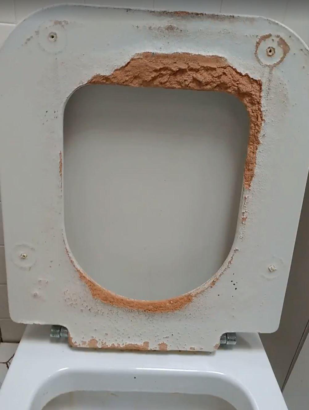 fix the cosmetic finish of this toilet seat Plumbing