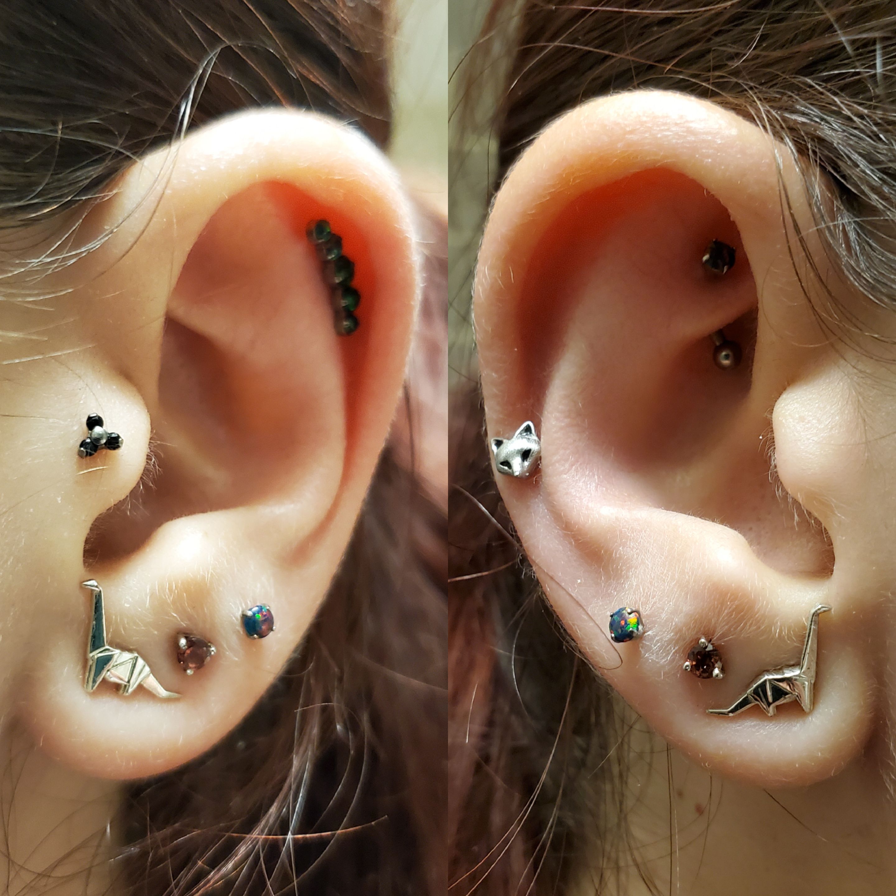 Tumblr Ear Piercings