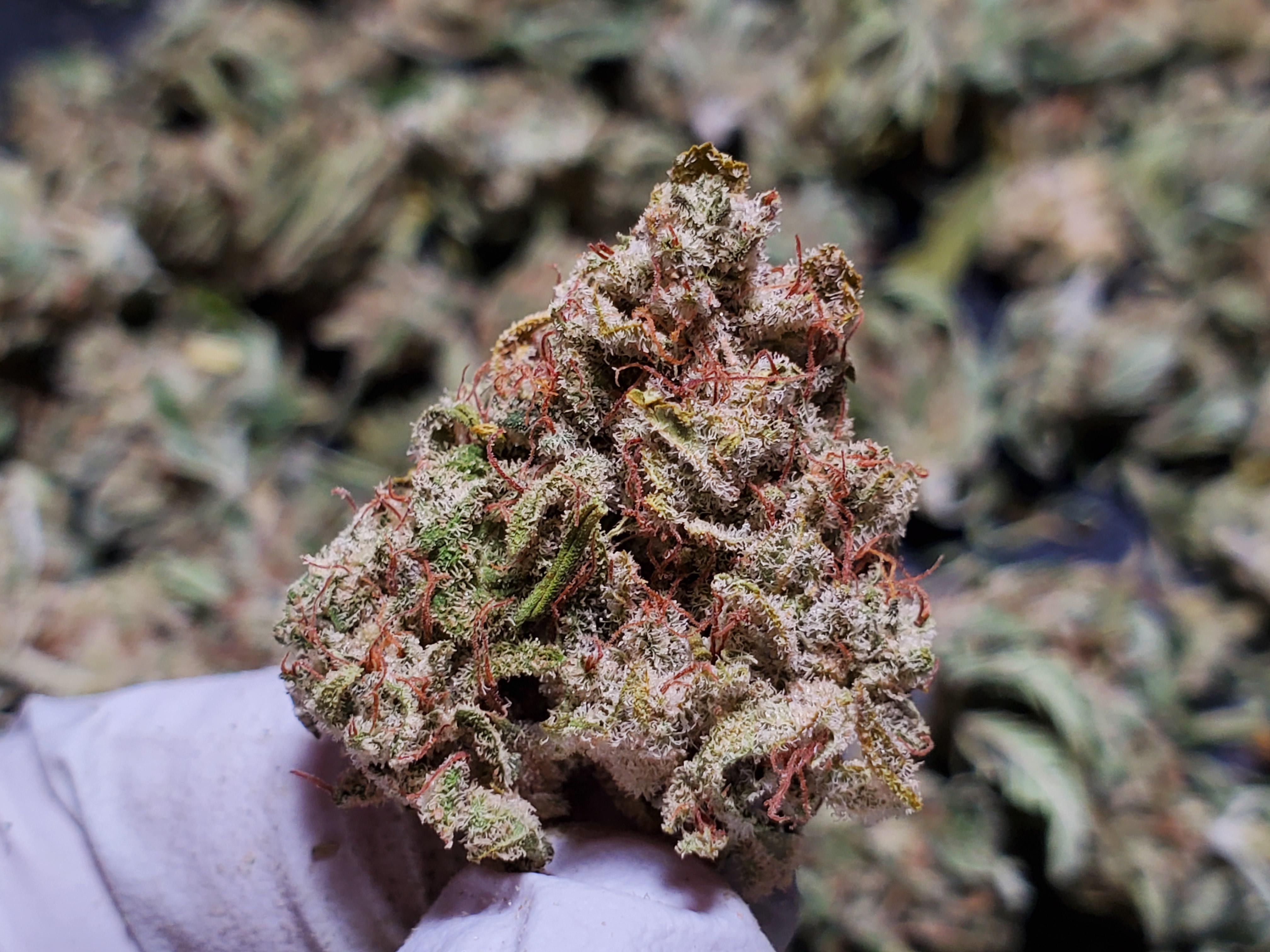 Nitrogen purge + sealed environment = fresh flower all year 'round. The