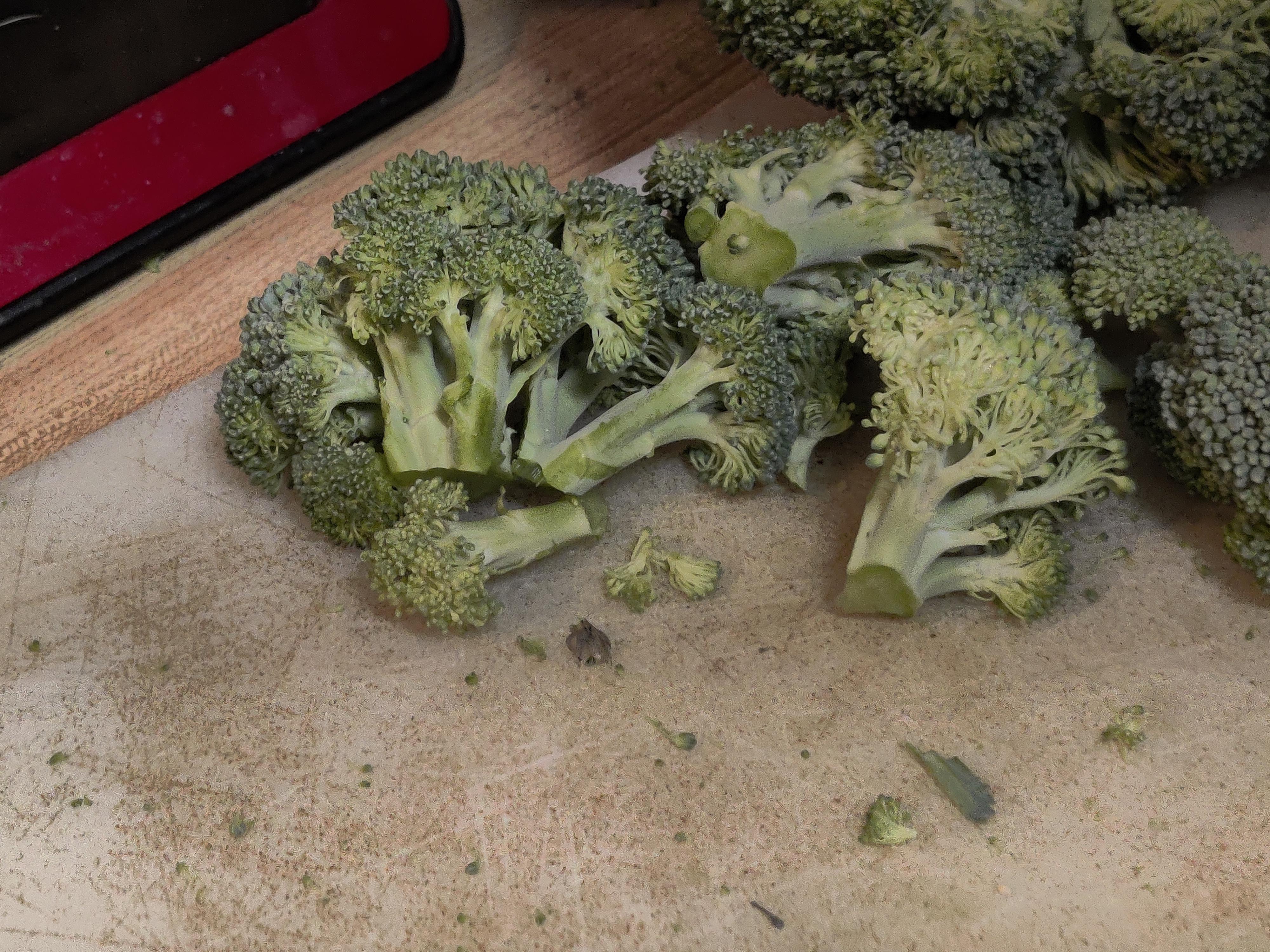 Found a bug in my broccoli i was chopping up r/mildlyinfuriating