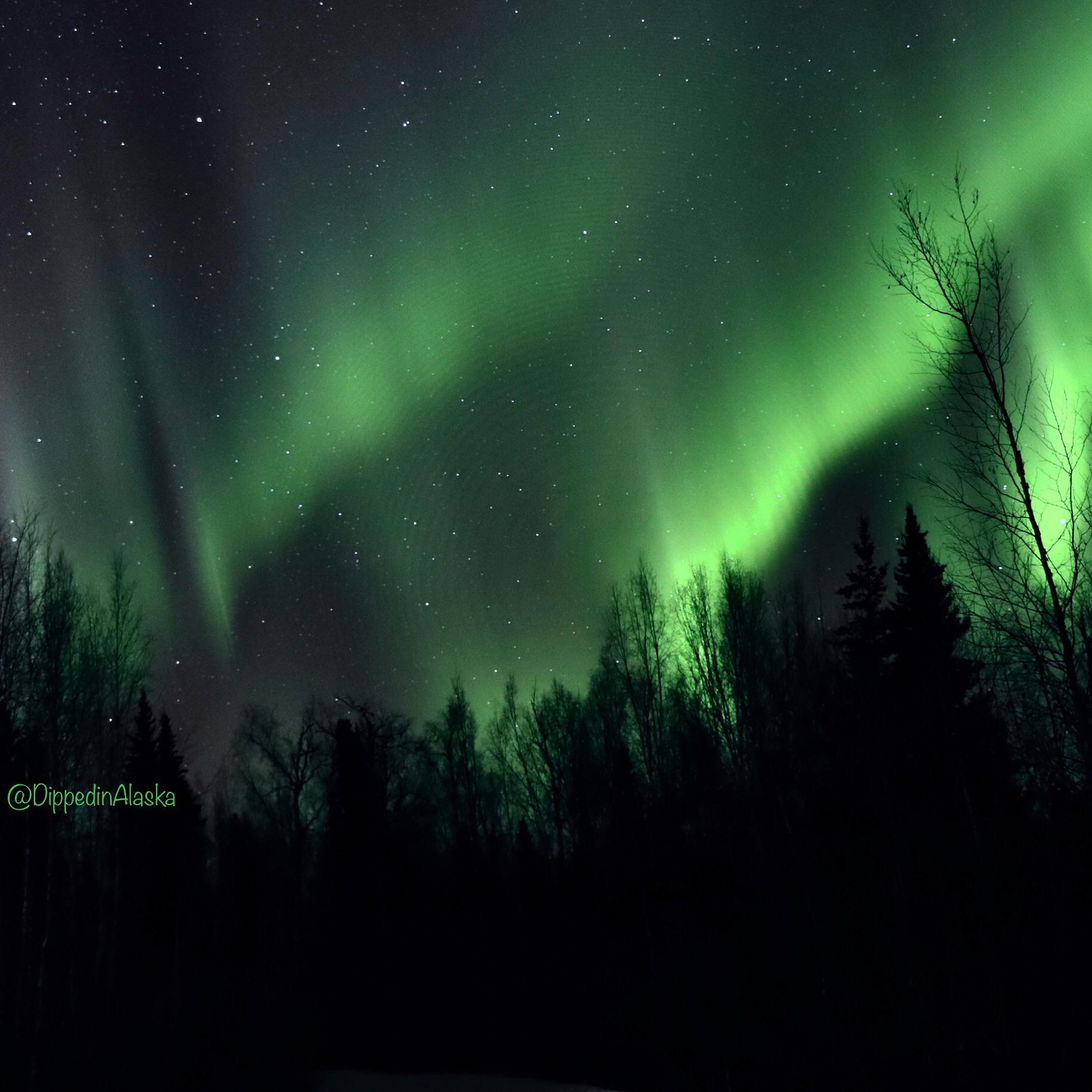 Forecast 5 Alaska northern lights last night. Do we fill the bucket