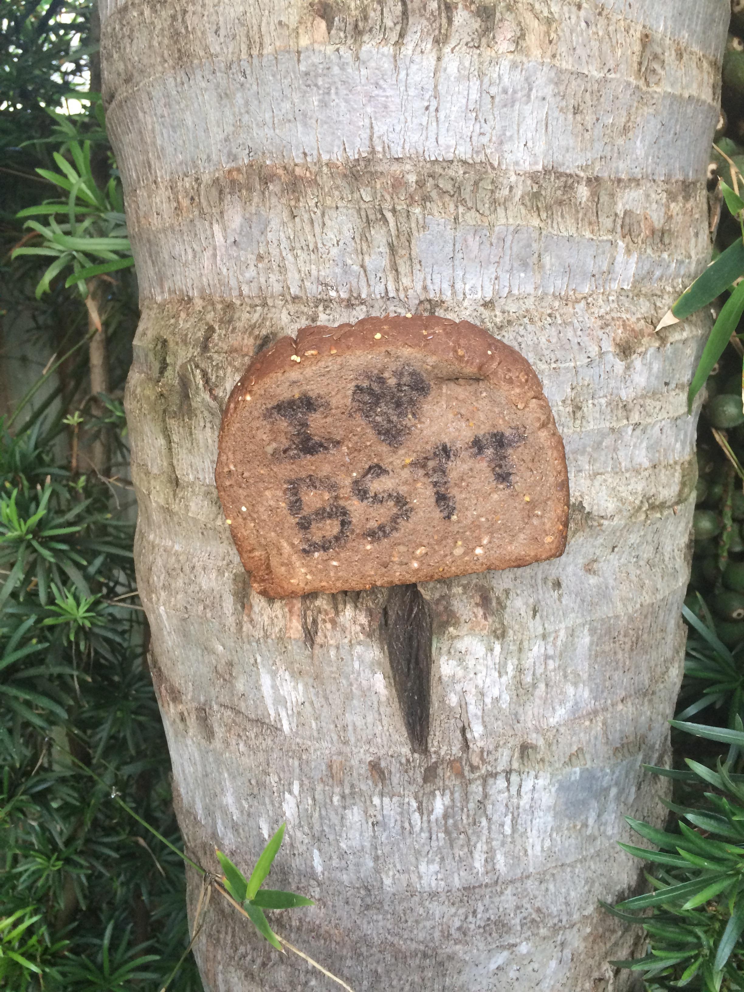 German dark wheat with sharpie BreadStapledToTrees