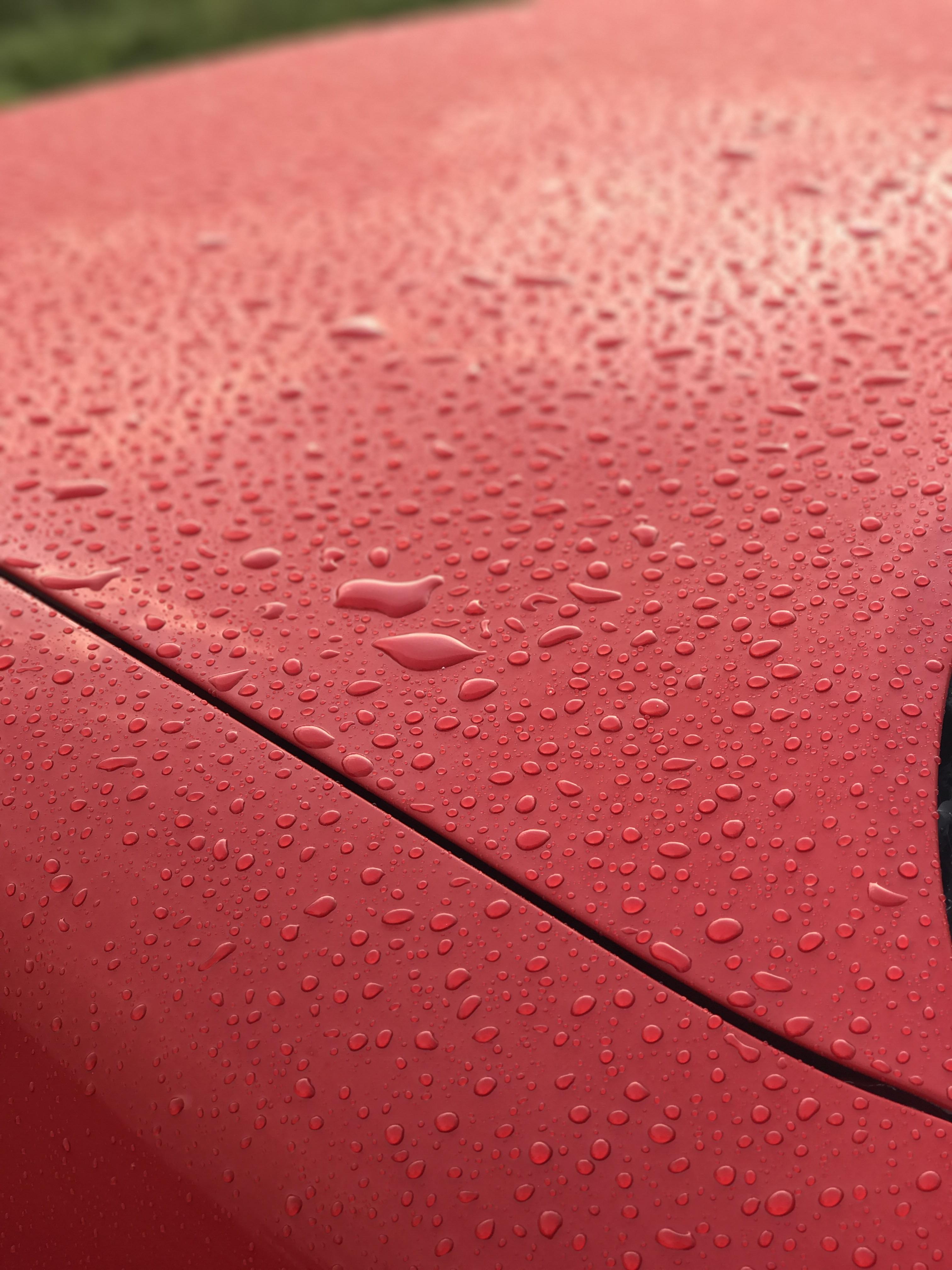 The way the water beads up my freshly waxed car r/oddlysatisfying