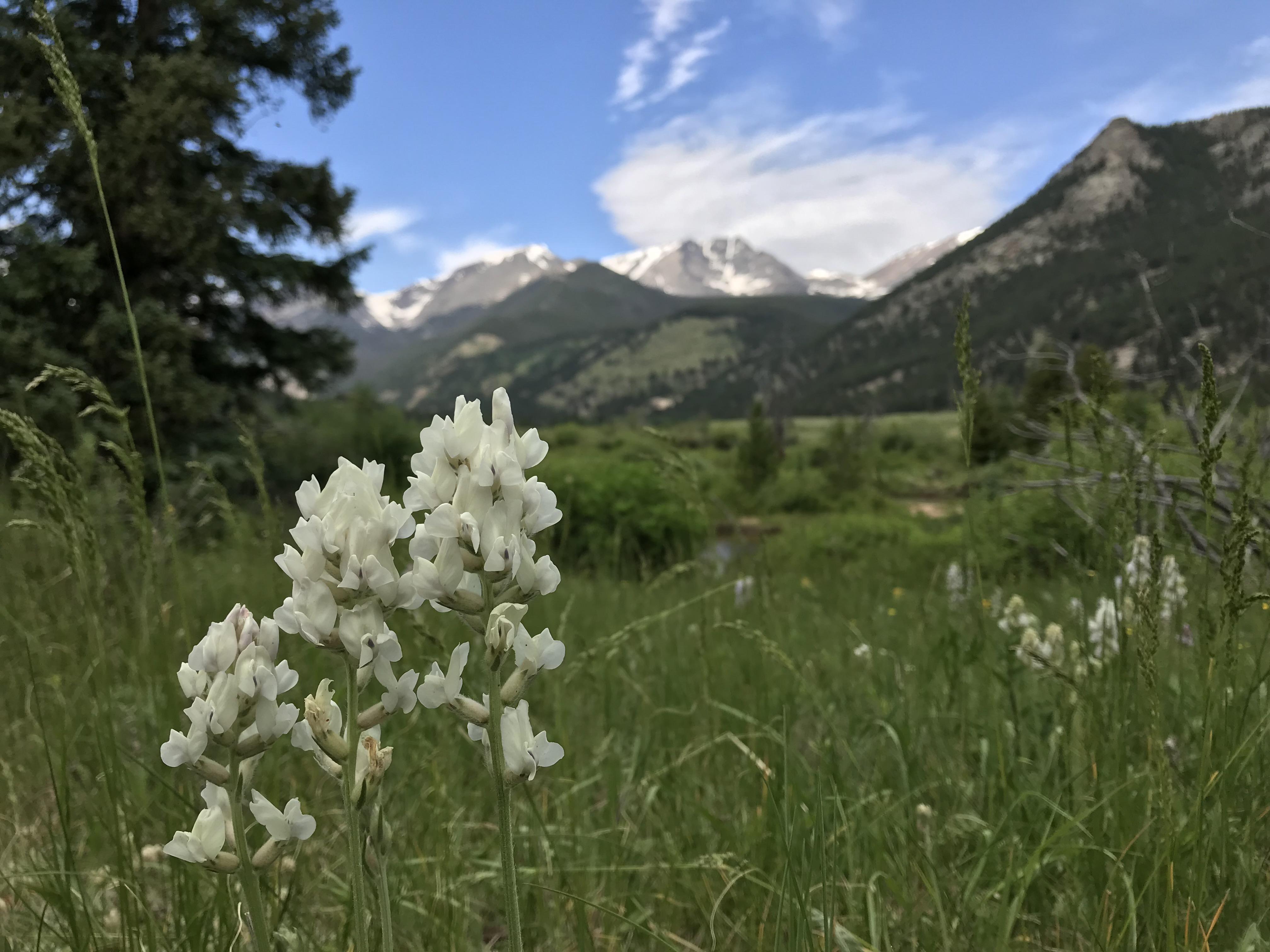In Horseshoe Park r/Colorado