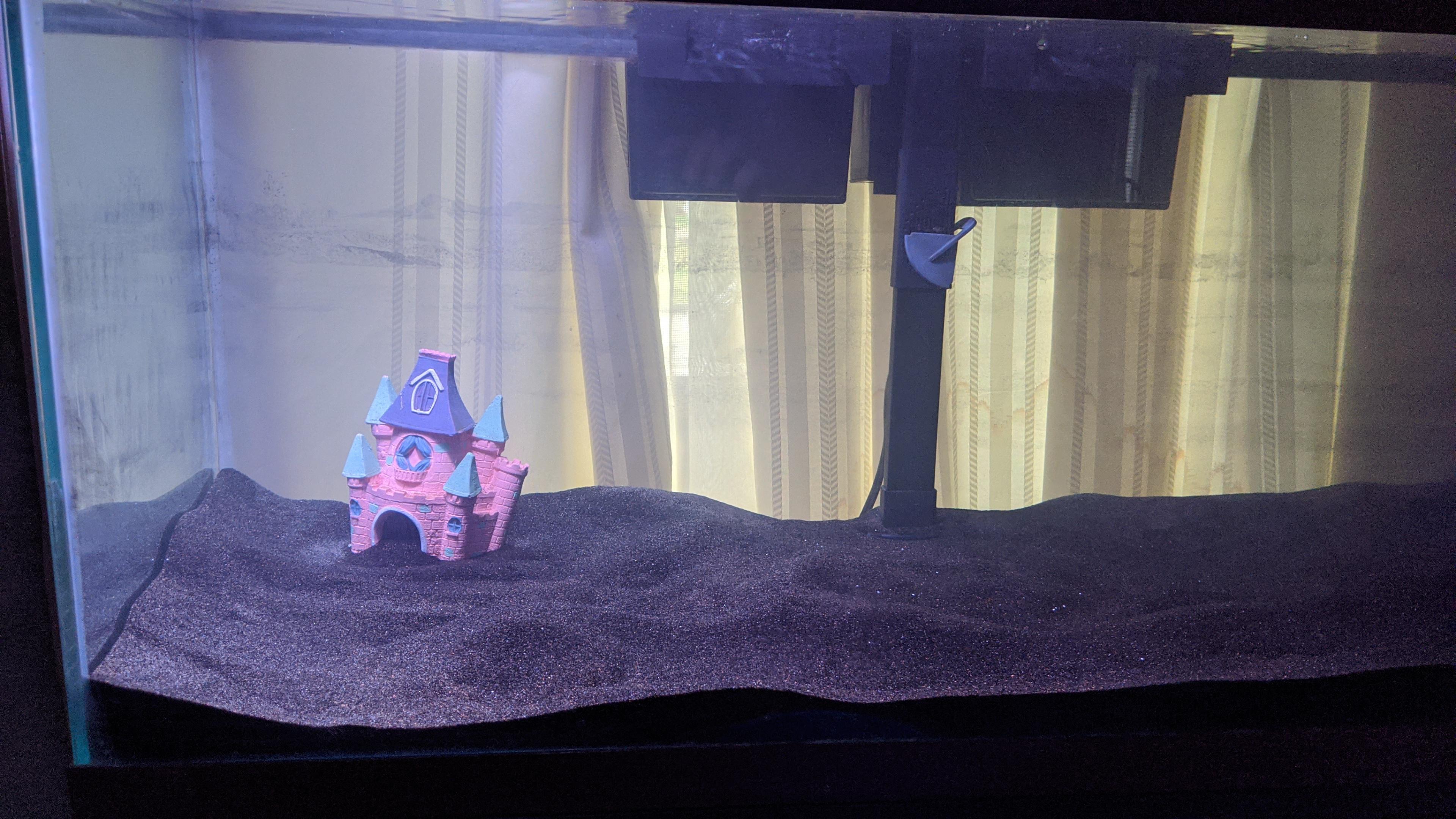 It's been a 3 day battle getting this water to settle and be this clear